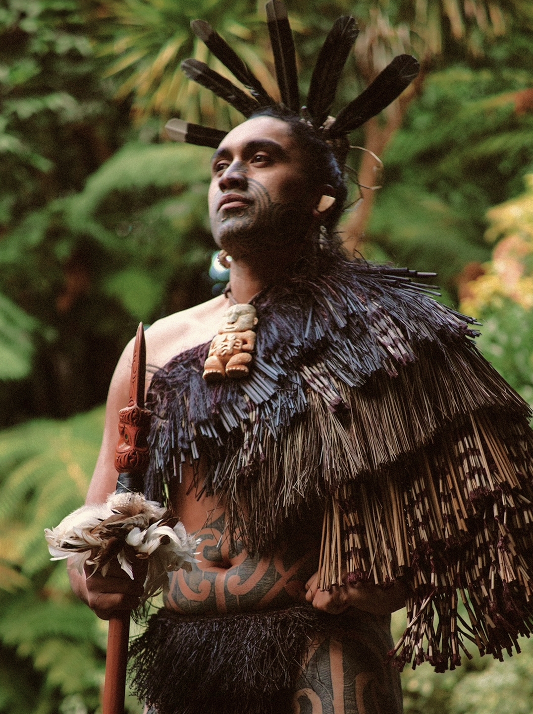 Rotorua Te Pa Tu