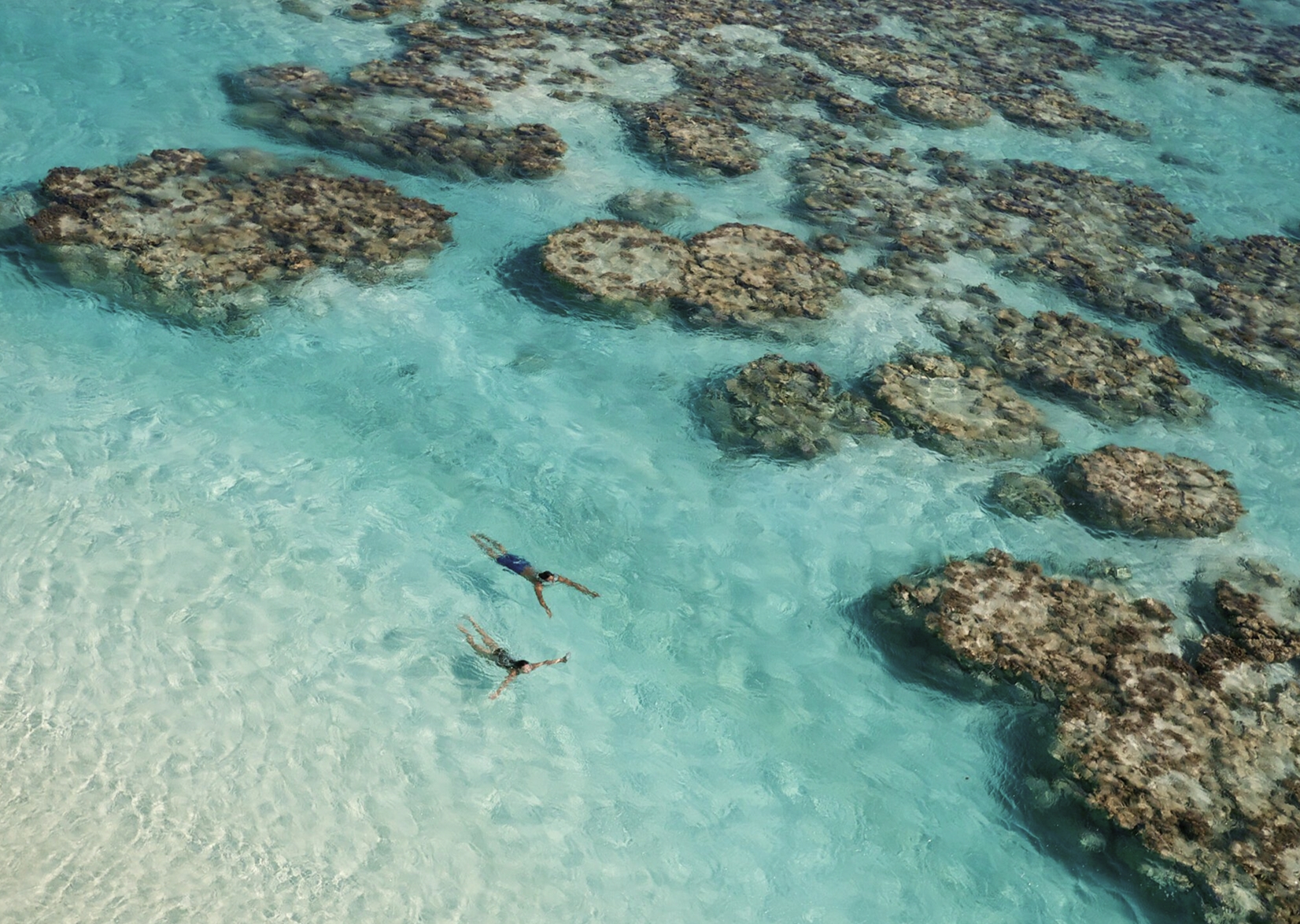 Swimmers explore a shallow turquoise lagoon between coral gardens