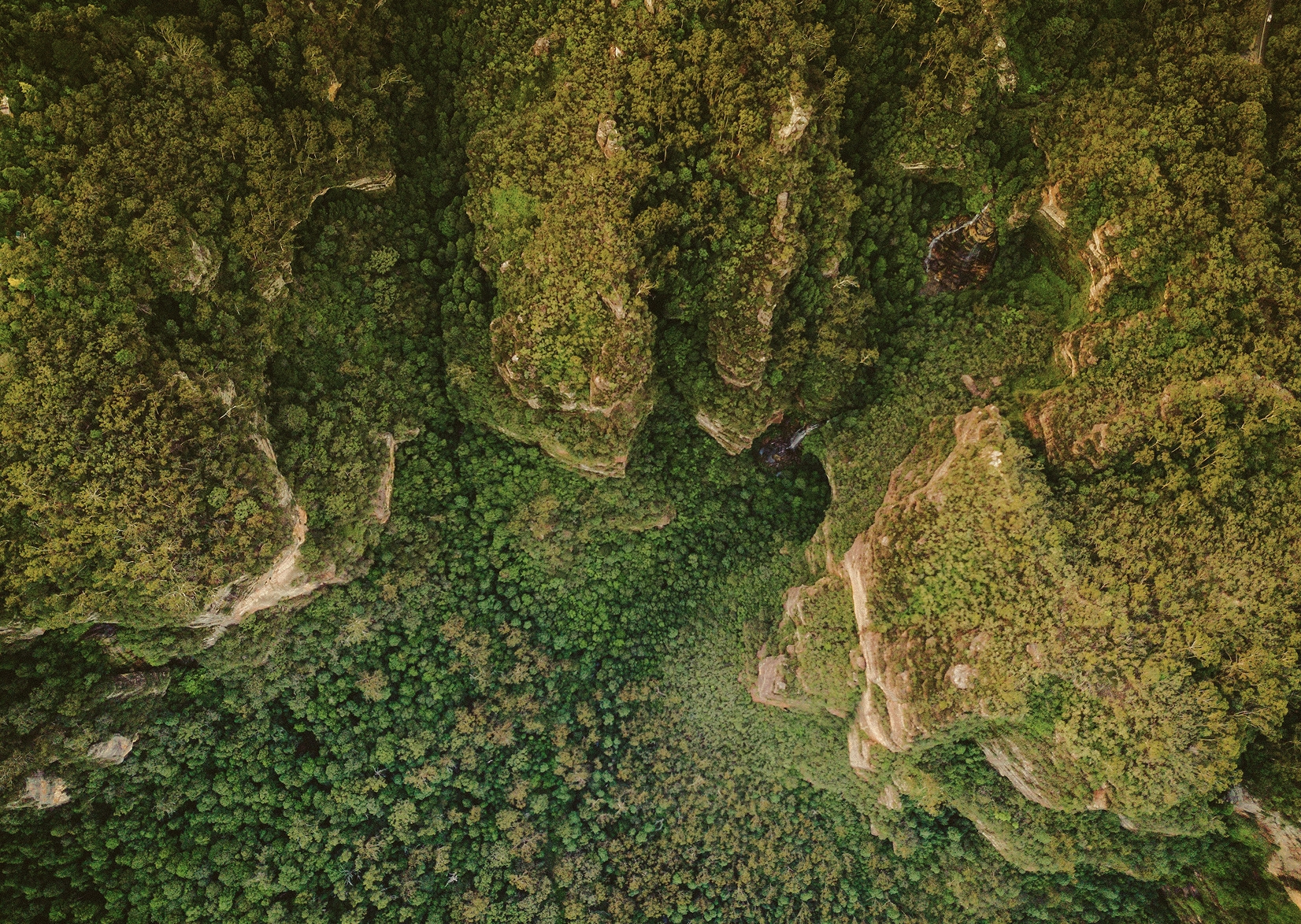 Australia's wildlife and tropical rainforest