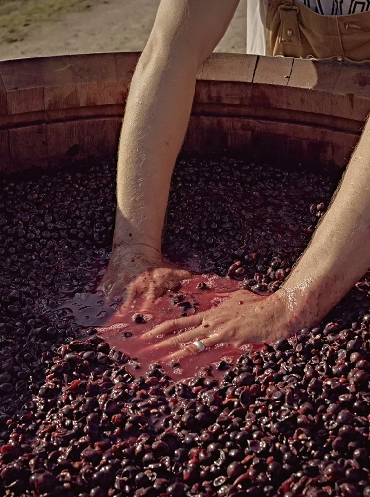 A winemaker turns grapes by hand