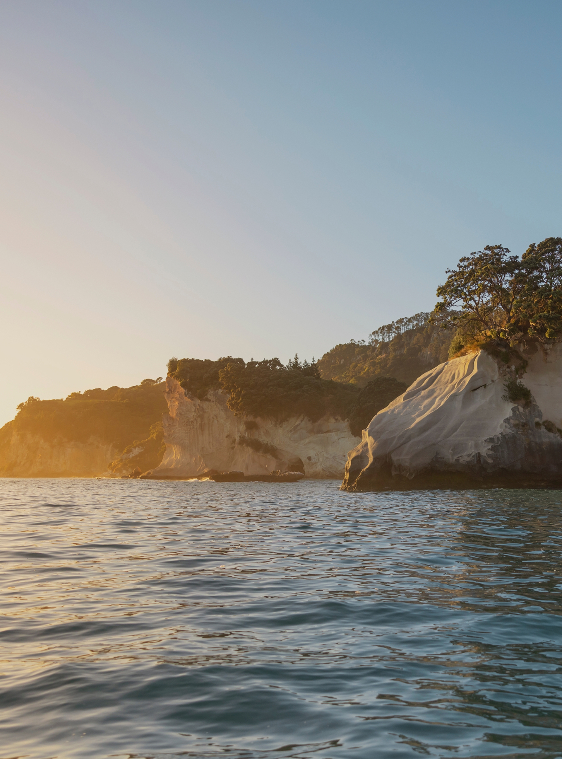 The coastal cliffs of Hahei