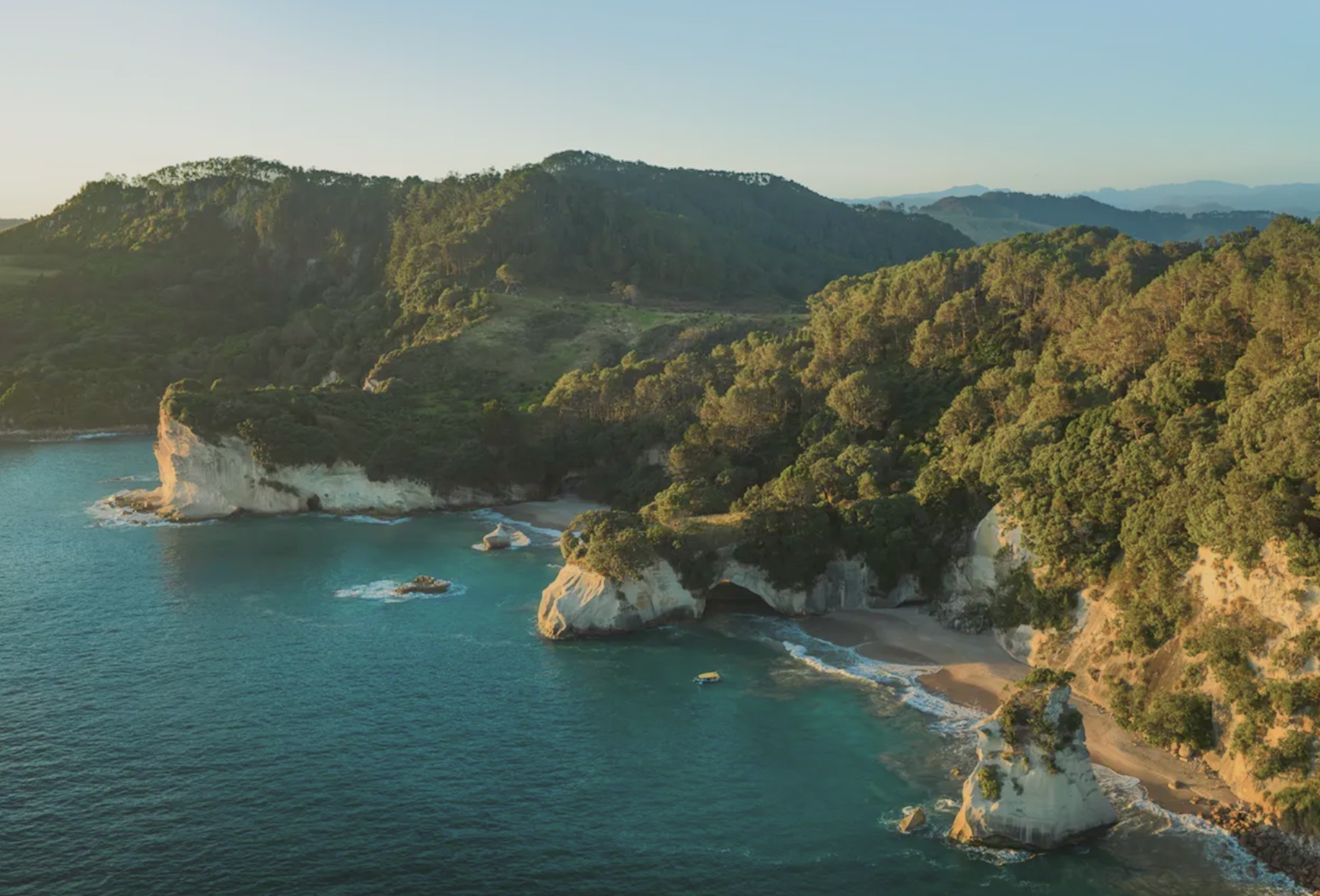 Forested cliffs and turquoise water on the New Zealand coast