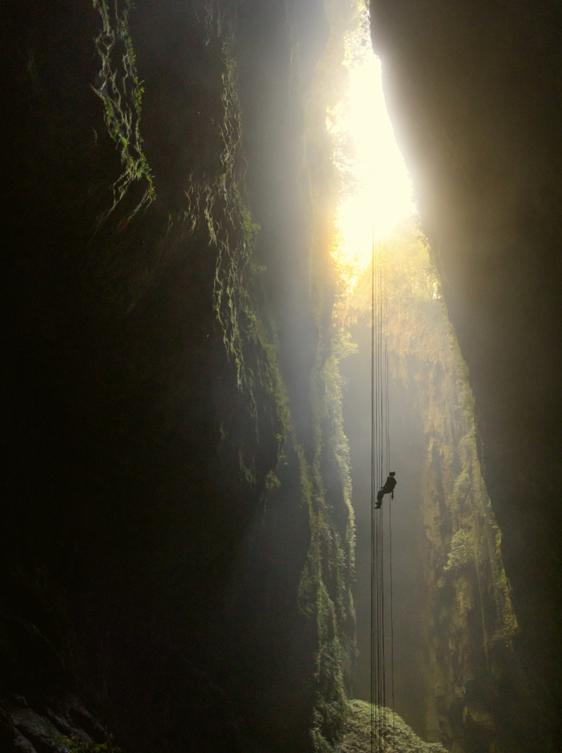 Abseiling down Waitomo Caves