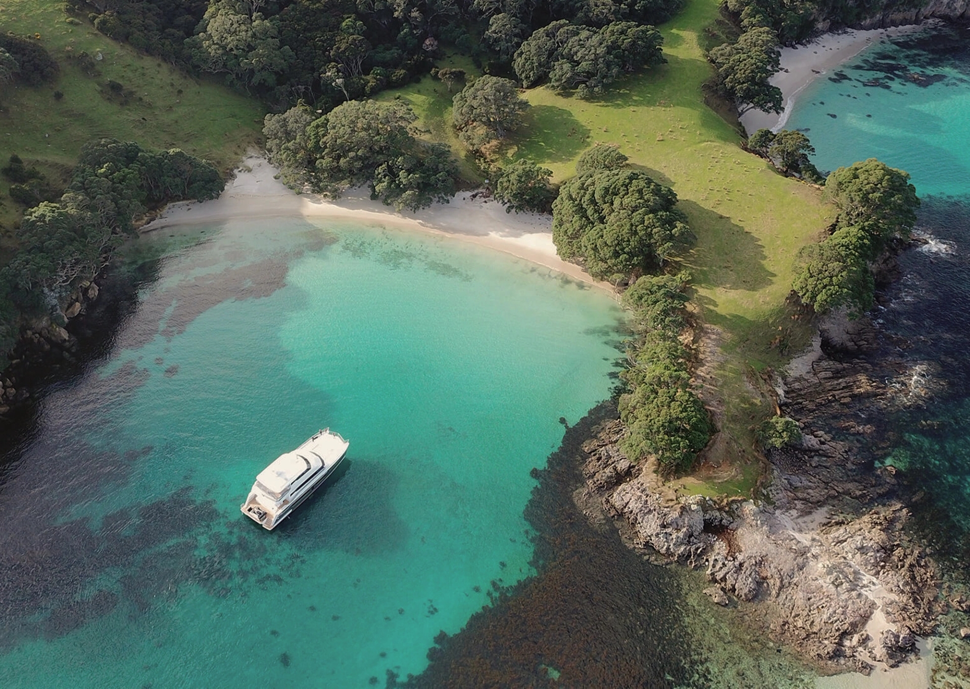 A secluded beach bordered by coastal forest