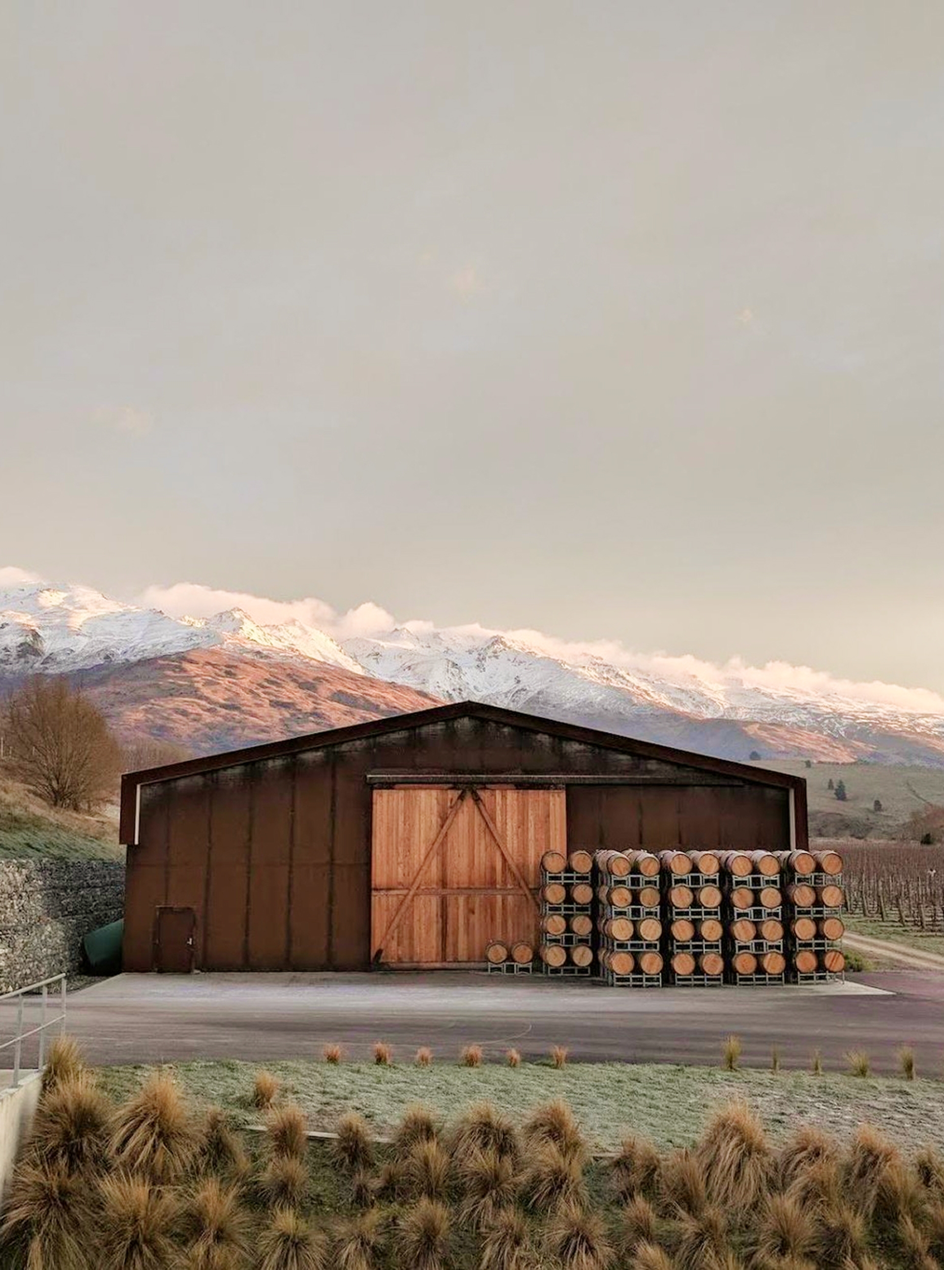 A New Zealand winery between rounds