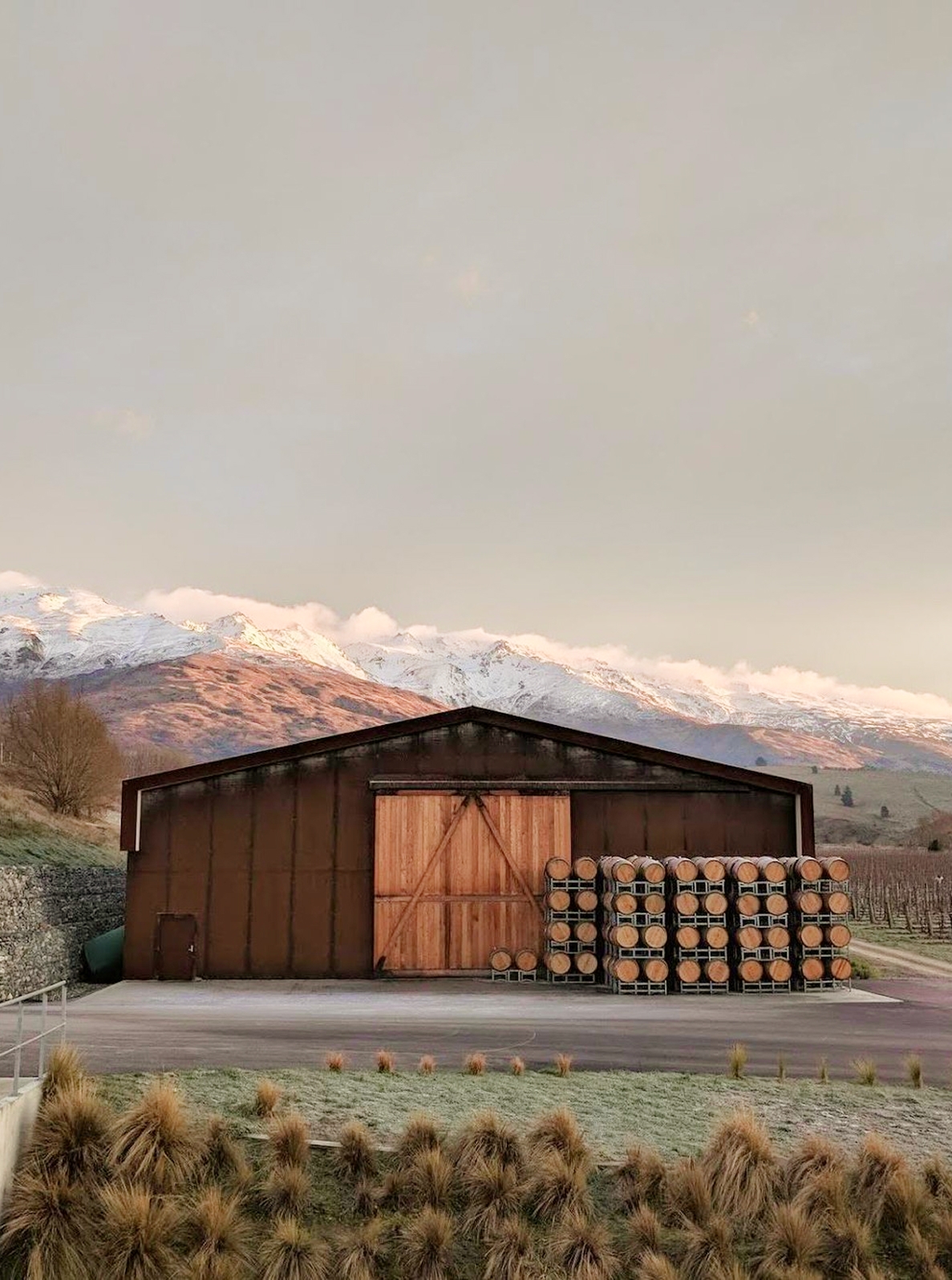 A New Zealand winery between rounds