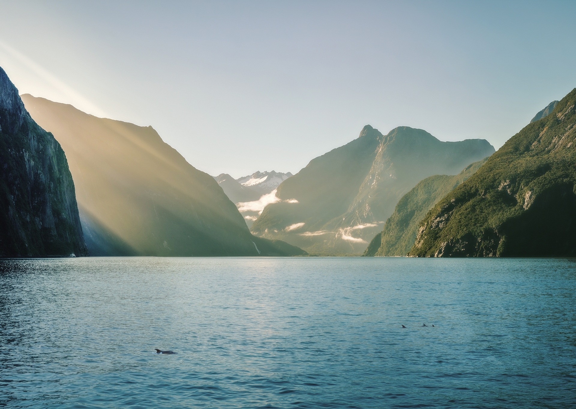 Sunlight falls across a fiord between steep forested mountains
