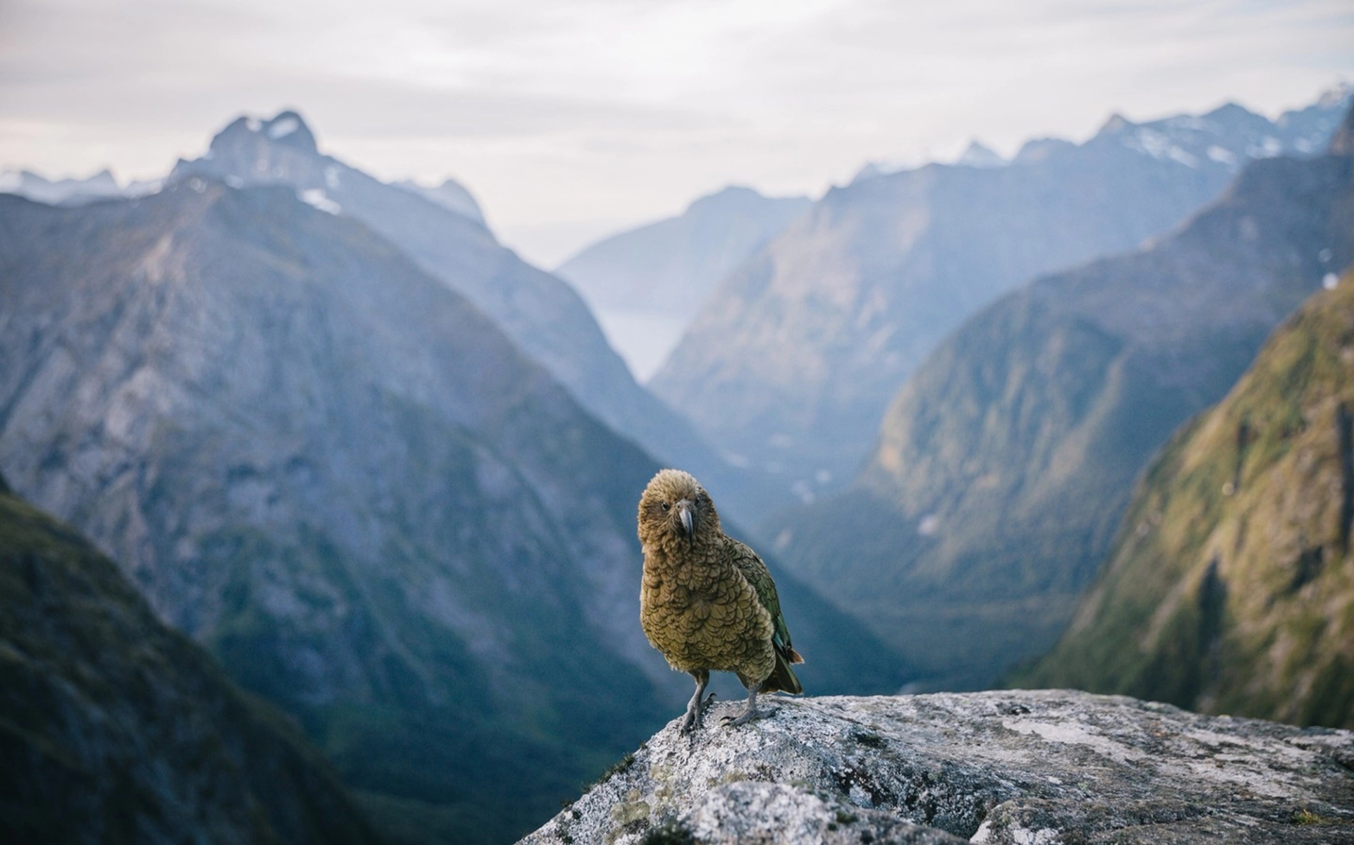 Personalised New Zealand journeys by Seasonz Travel.