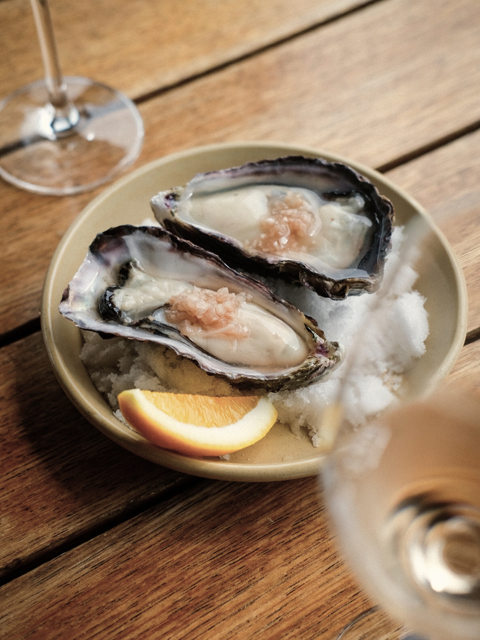 Fresh oysters served on ice at Waiheke Island