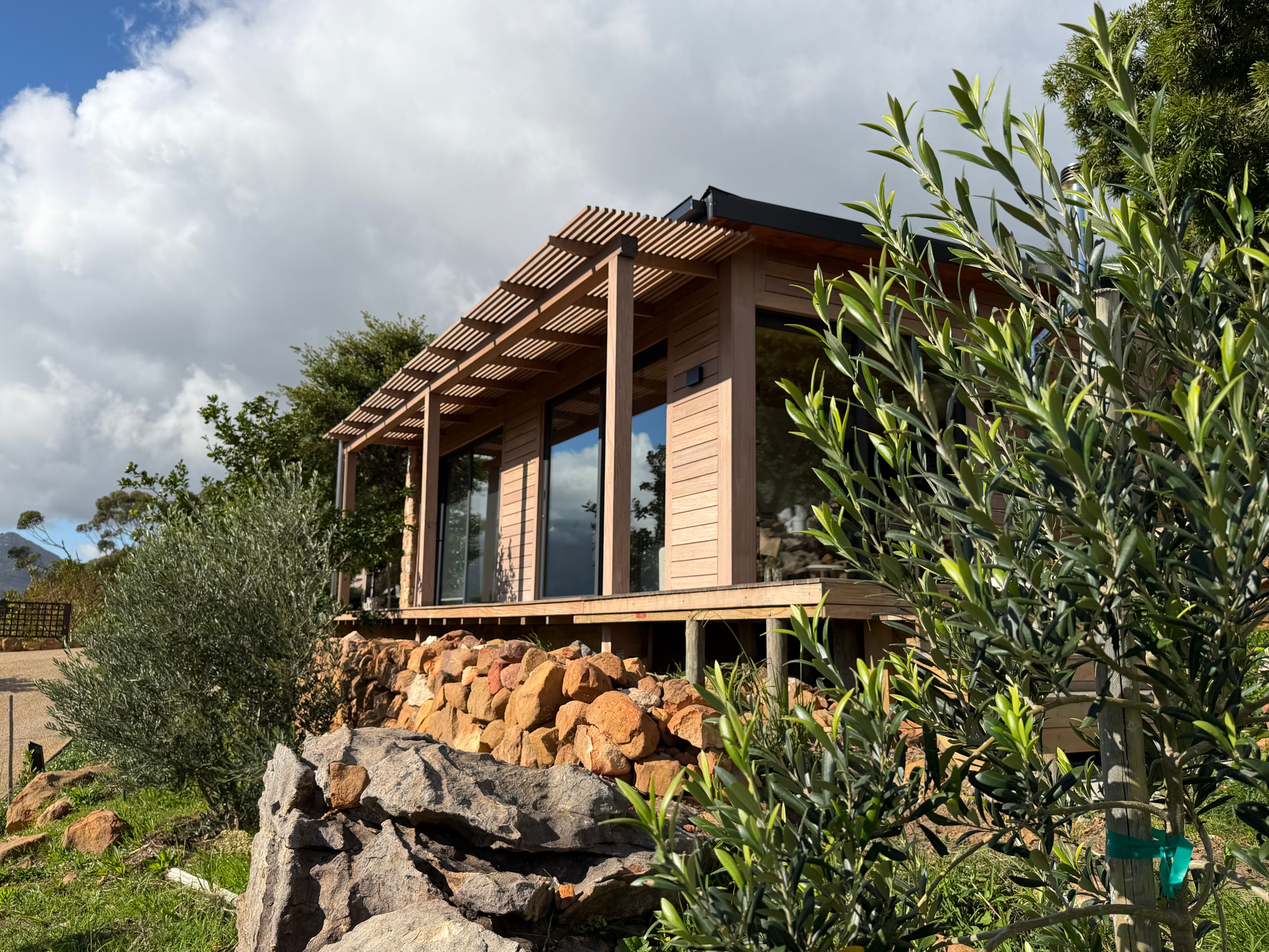 Guest Cottage from the side, with olive tree in foreground, fynbos slope, dramatic sky