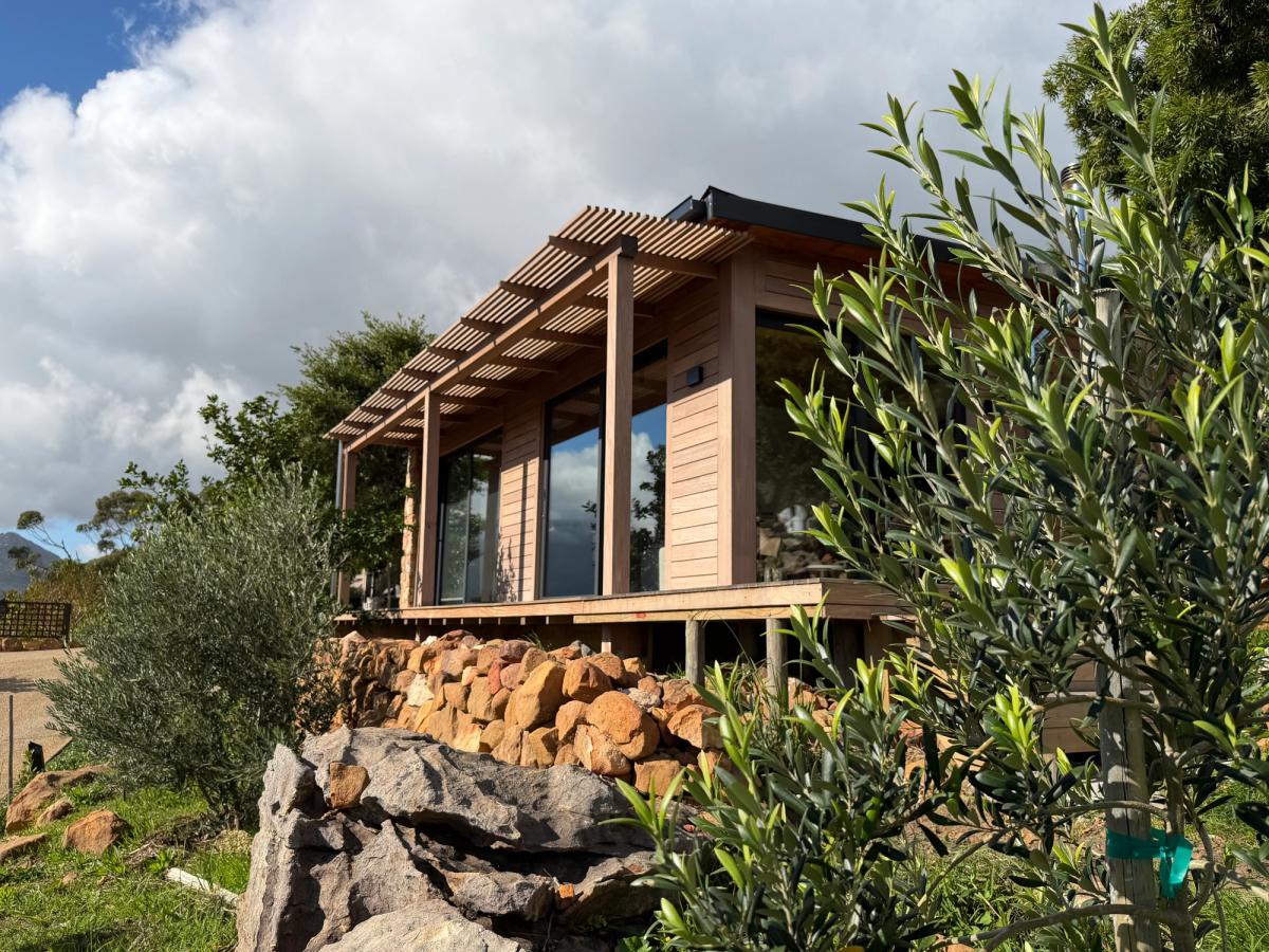 Guest Cottage from the side, with olive tree in foreground, fynbos slope, dramatic sky