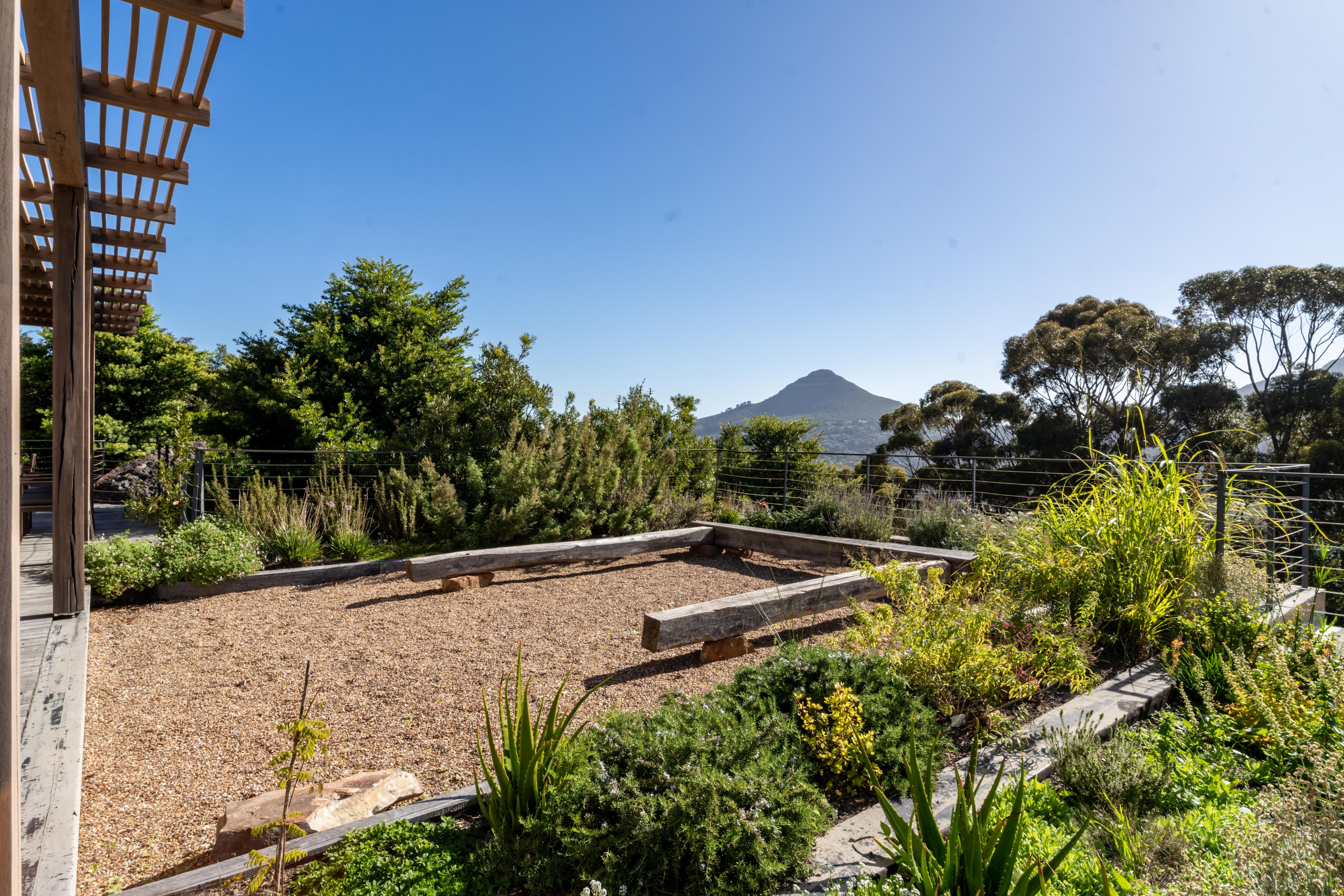 Raised vegetable garden beds with the mountain peak in the distance