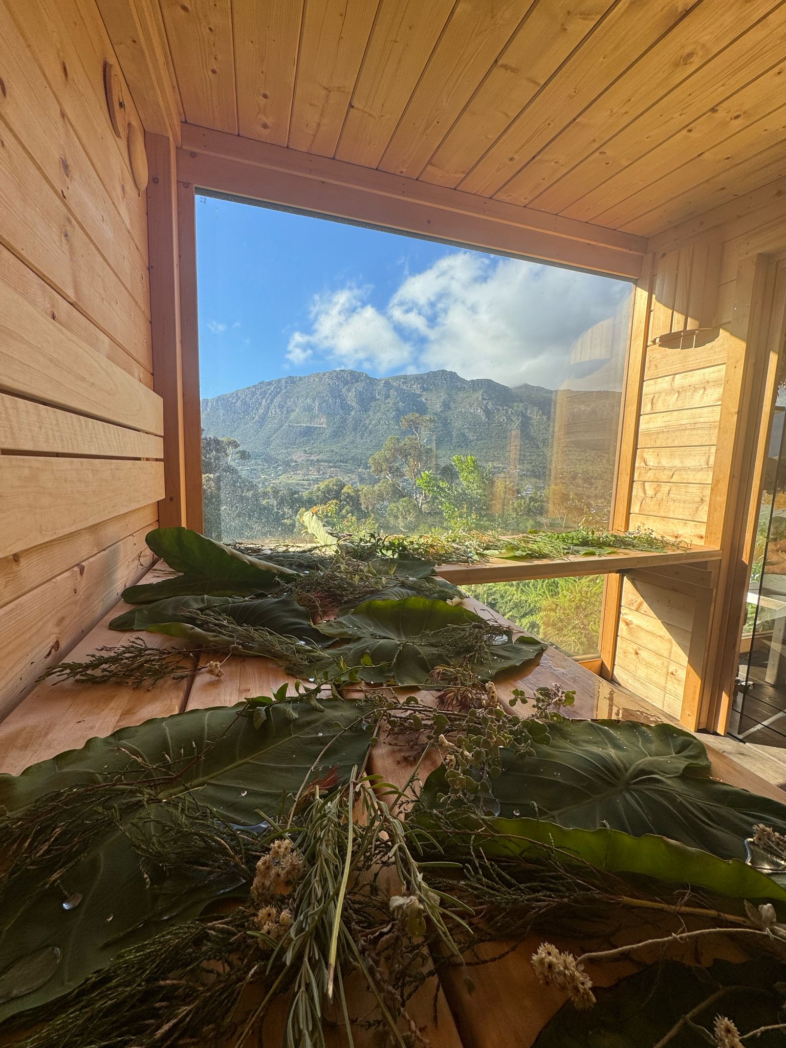 Looking through the sauna door: wood-fired interior, white bench with herbs and flowers laid for a session, autumn oak leaves overhead