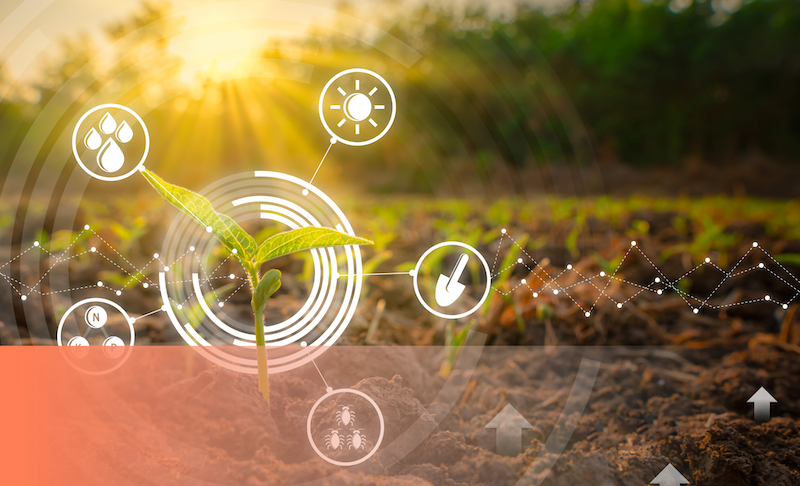 Blockchain en la trazabilidad de la industria alimentaria: garantía de origen y seguridad