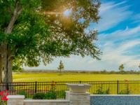 Chambers Creek Luxury Pool & Spa - Thumbnail 3