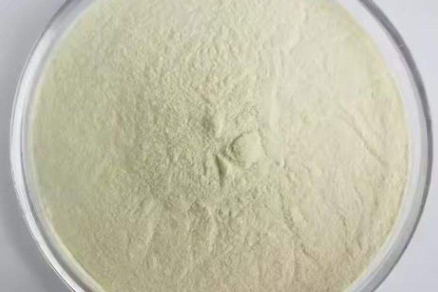 Hydrocolloids 2
