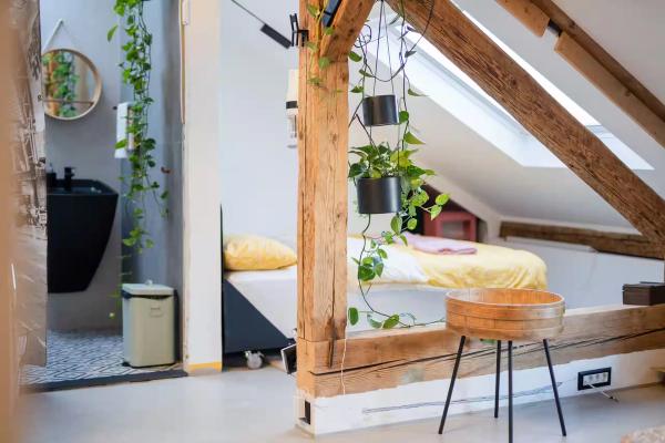 Skylight Rooftop