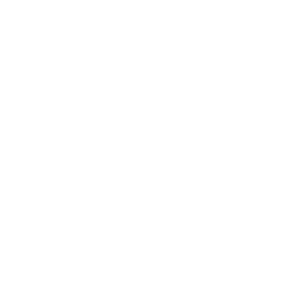 Logo de INDITEX