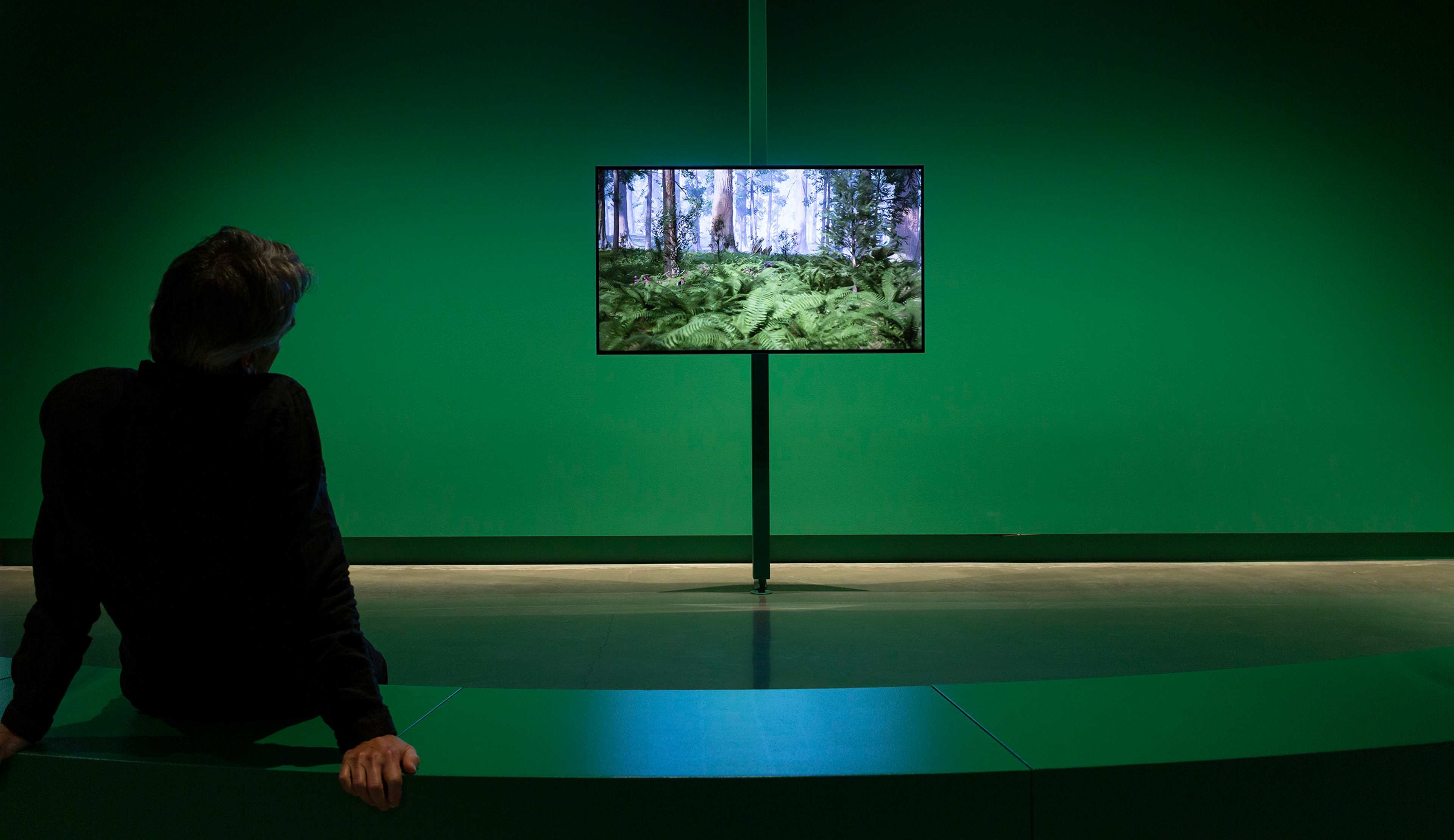 A person sits on a curved bench in a dark green room, watching a screen displaying a forest scene with trees and ferns. The atmosphere is calm and contemplative.