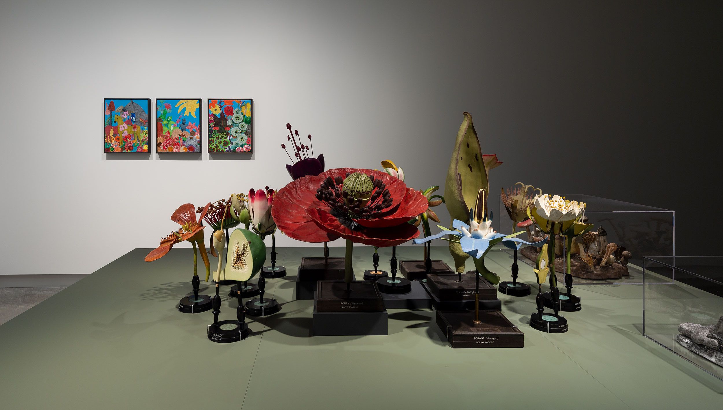 Large, detailed botanical models of flowers are displayed on stands atop a pale green table. Three colorful botanical artworks hang on a white wall in the background, adding vibrancy to the neutral gallery space.