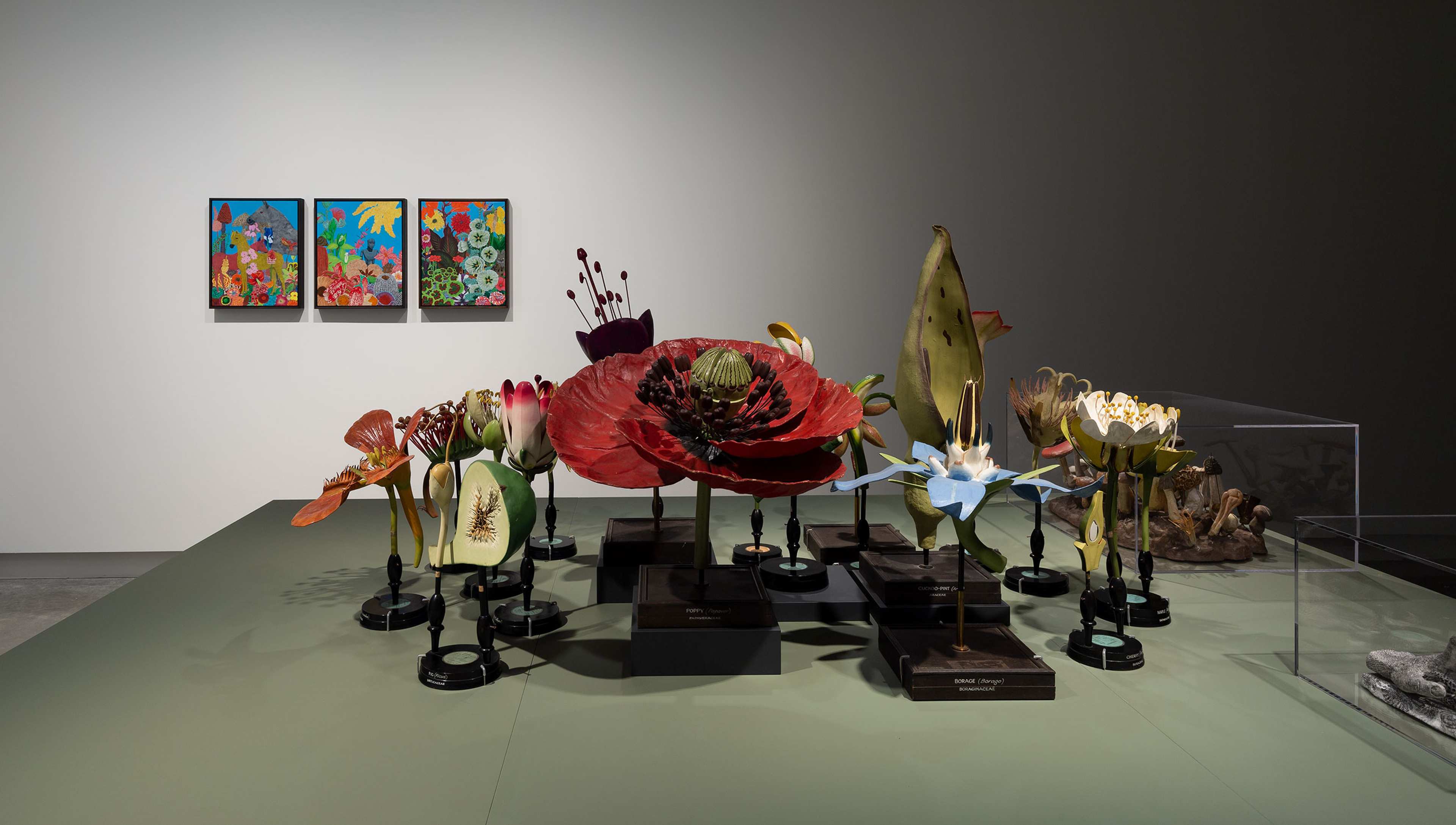 Large, detailed botanical models of flowers are displayed on stands atop a pale green table. Three colorful botanical artworks hang on a white wall in the background, adding vibrancy to the neutral gallery space.