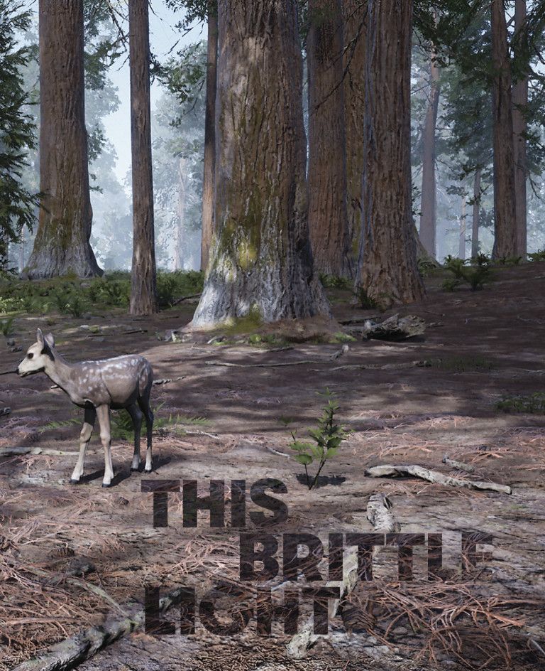 A young deer stands on a forest floor surrounded by tall trees. Light filters through the branches. The words THIS BRITTLE LIGHT cast a shadow across the ground in bold, dark letters.