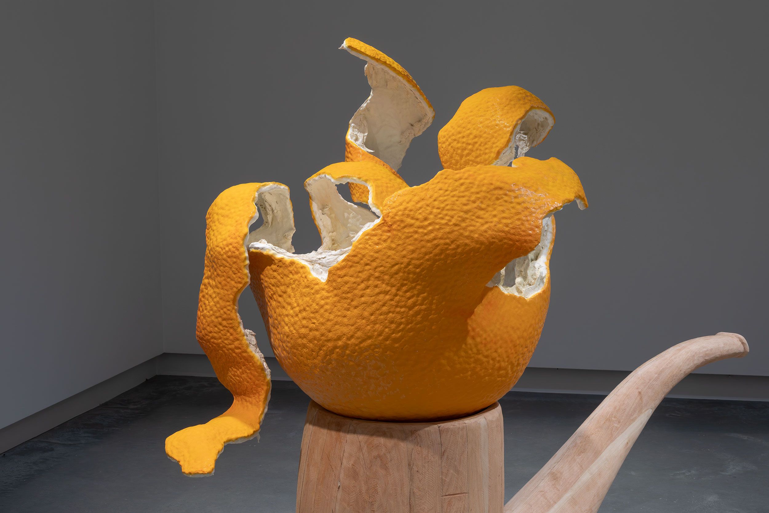 A sculpture of an open orange sitting on a wooden pipe in a minimalist gallery
