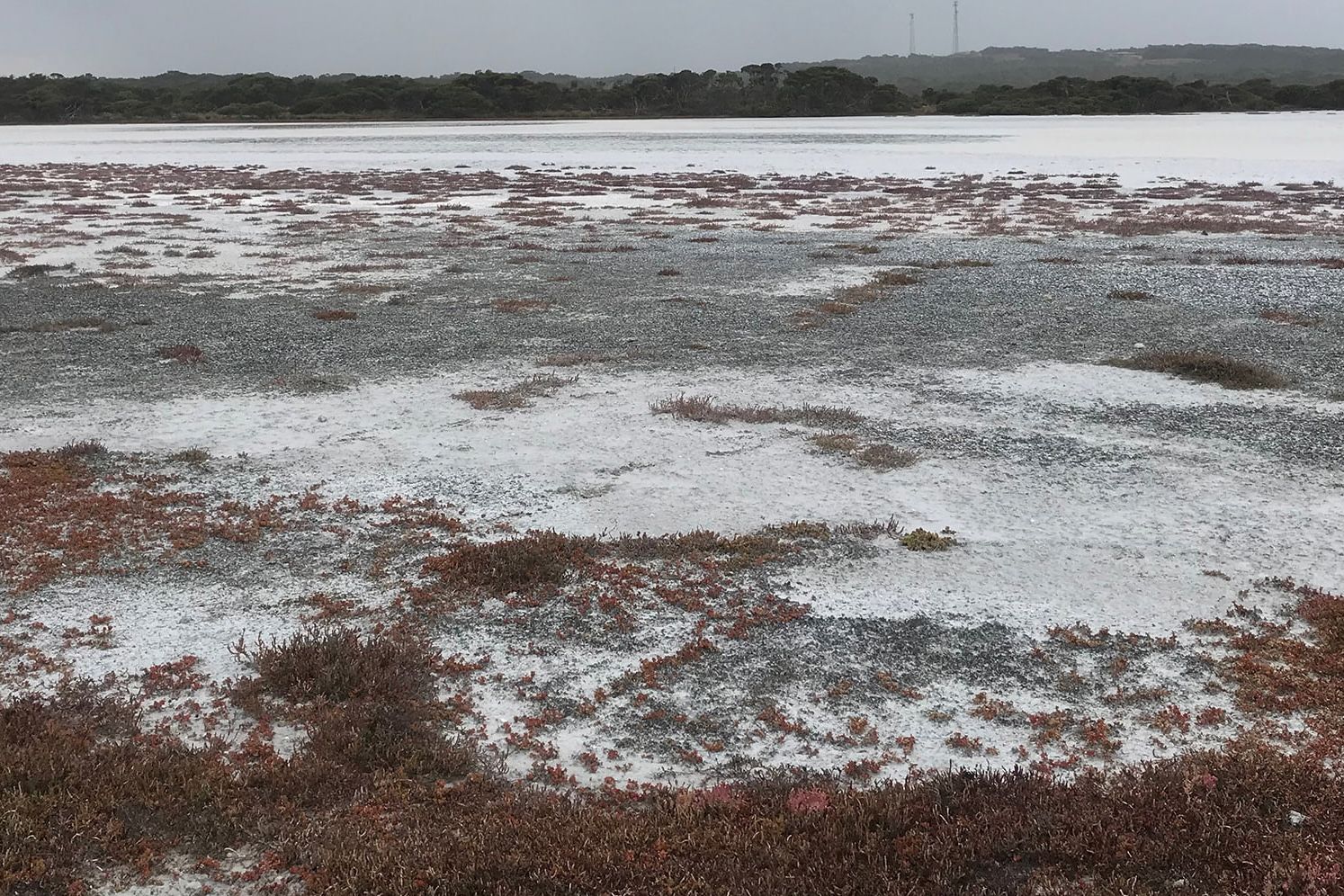 Grass and snowy alongside a lake, with trees and two signal towers in the distance.