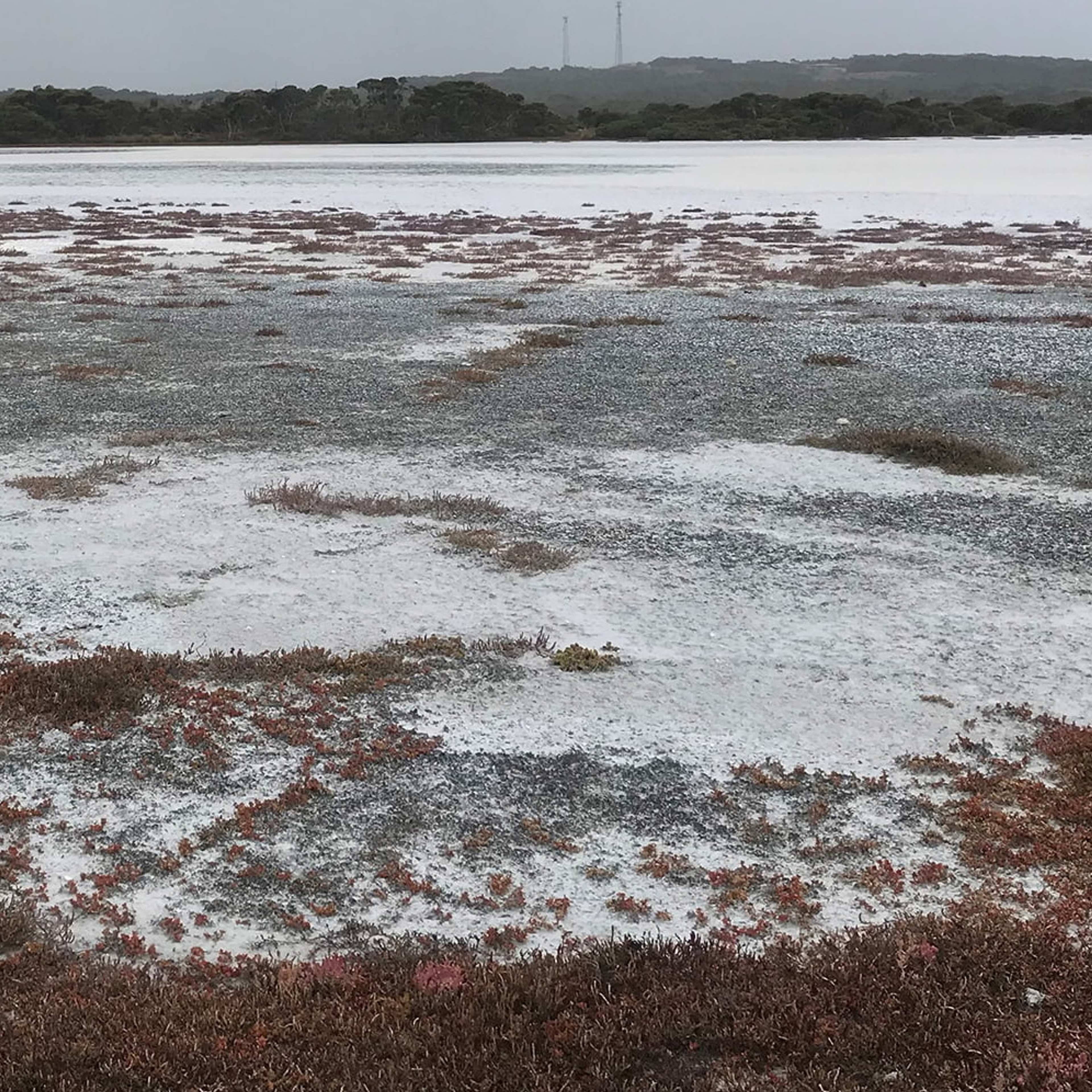 Grass and snowy alongside a lake, with trees and two signal towers in the distance.