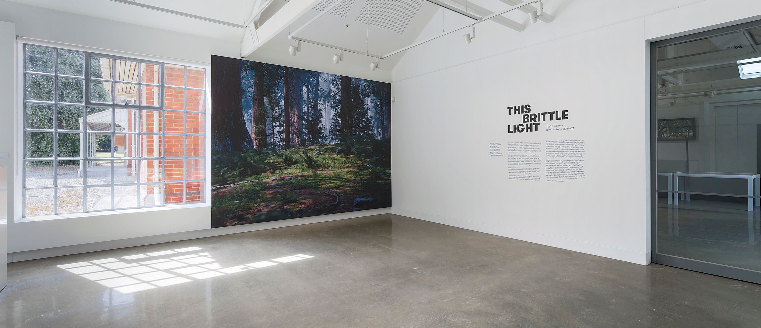 A bright gallery room with polished concrete floors features a large photograph of a sunlit forest on one wall and text titled THIS BRITTLE LIGHT on an adjacent white wall. Sunlight streams in through a large window.
