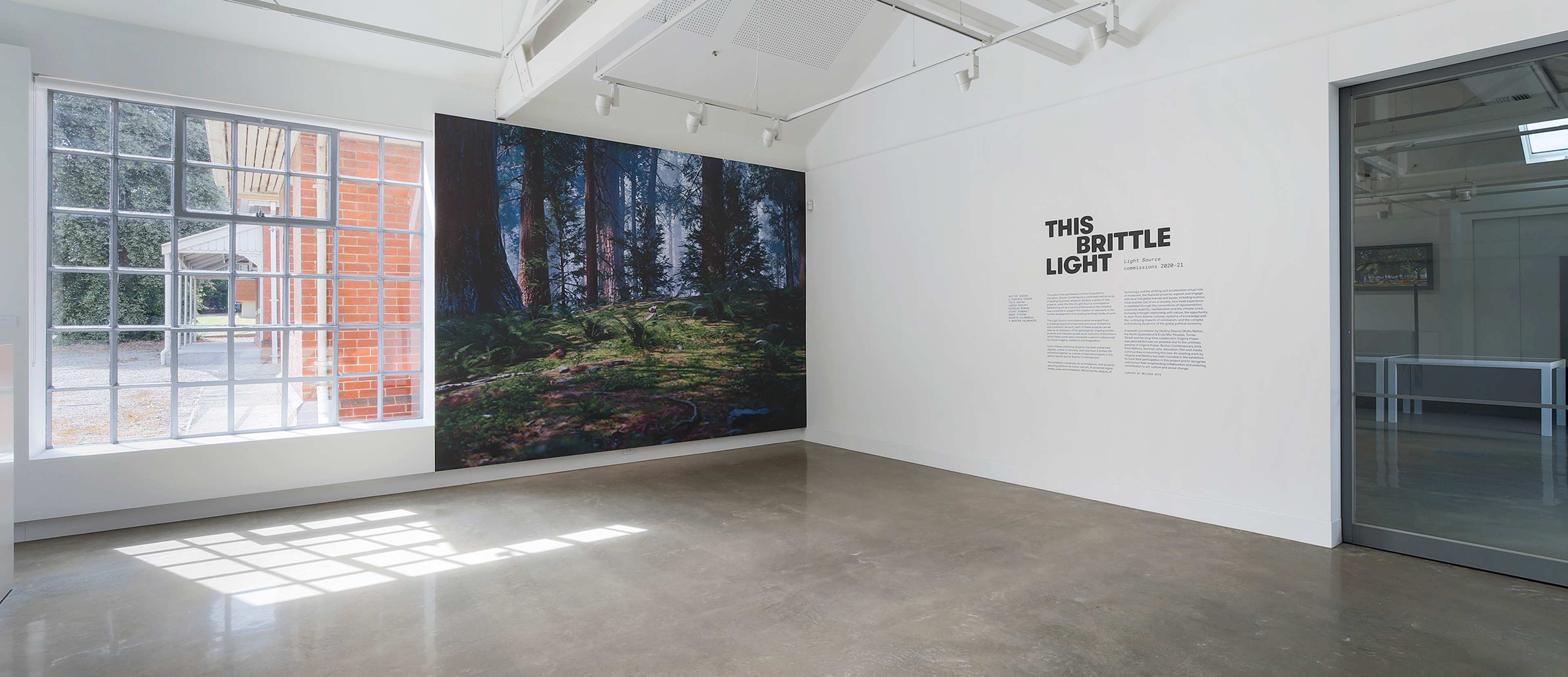 A bright gallery room with polished concrete floors features a large photograph of a sunlit forest on one wall and text titled THIS BRITTLE LIGHT on an adjacent white wall. Sunlight streams in through a large window.