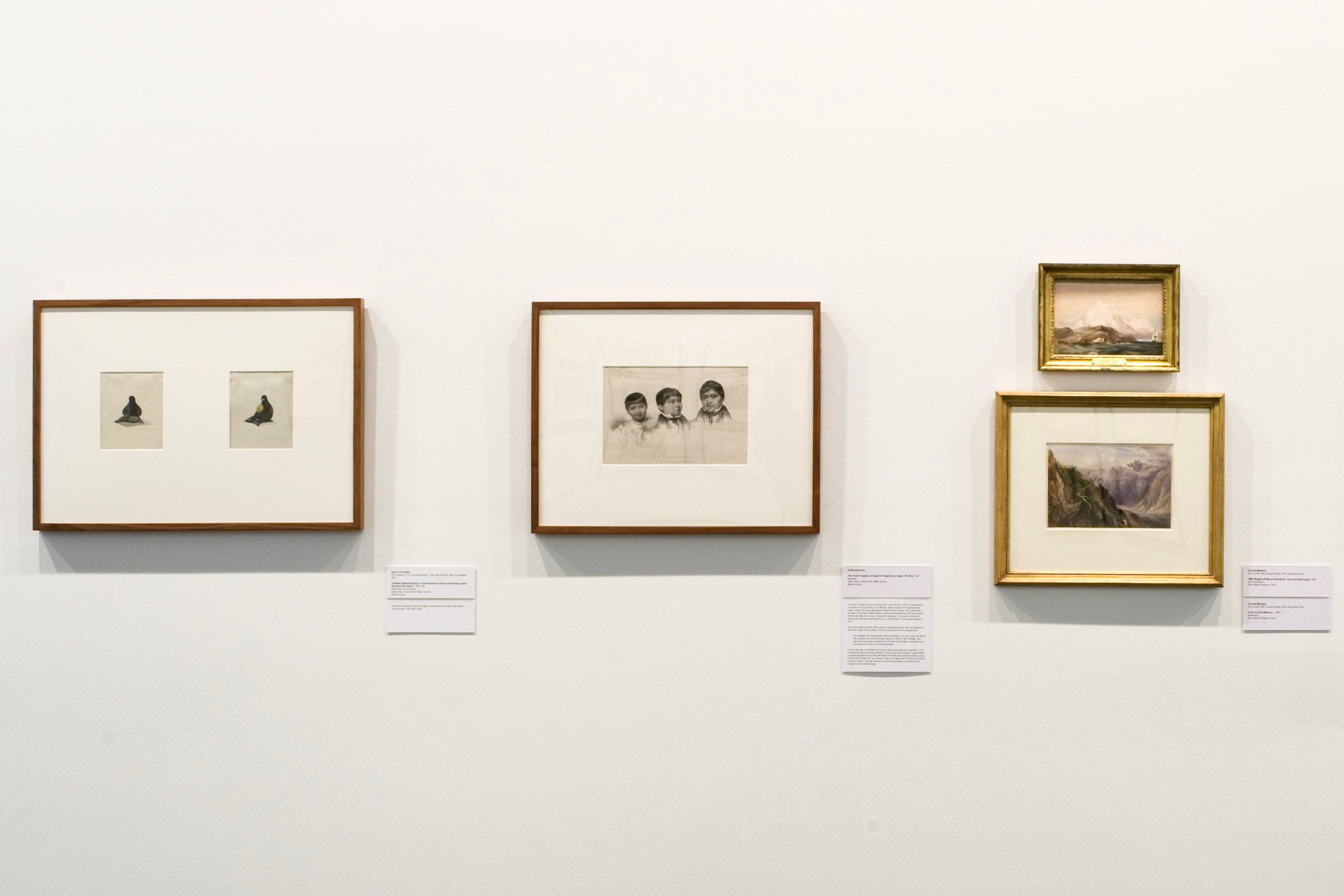 A photo of small-scale drawn portraits and painted landscapes displayed on a gallery wall