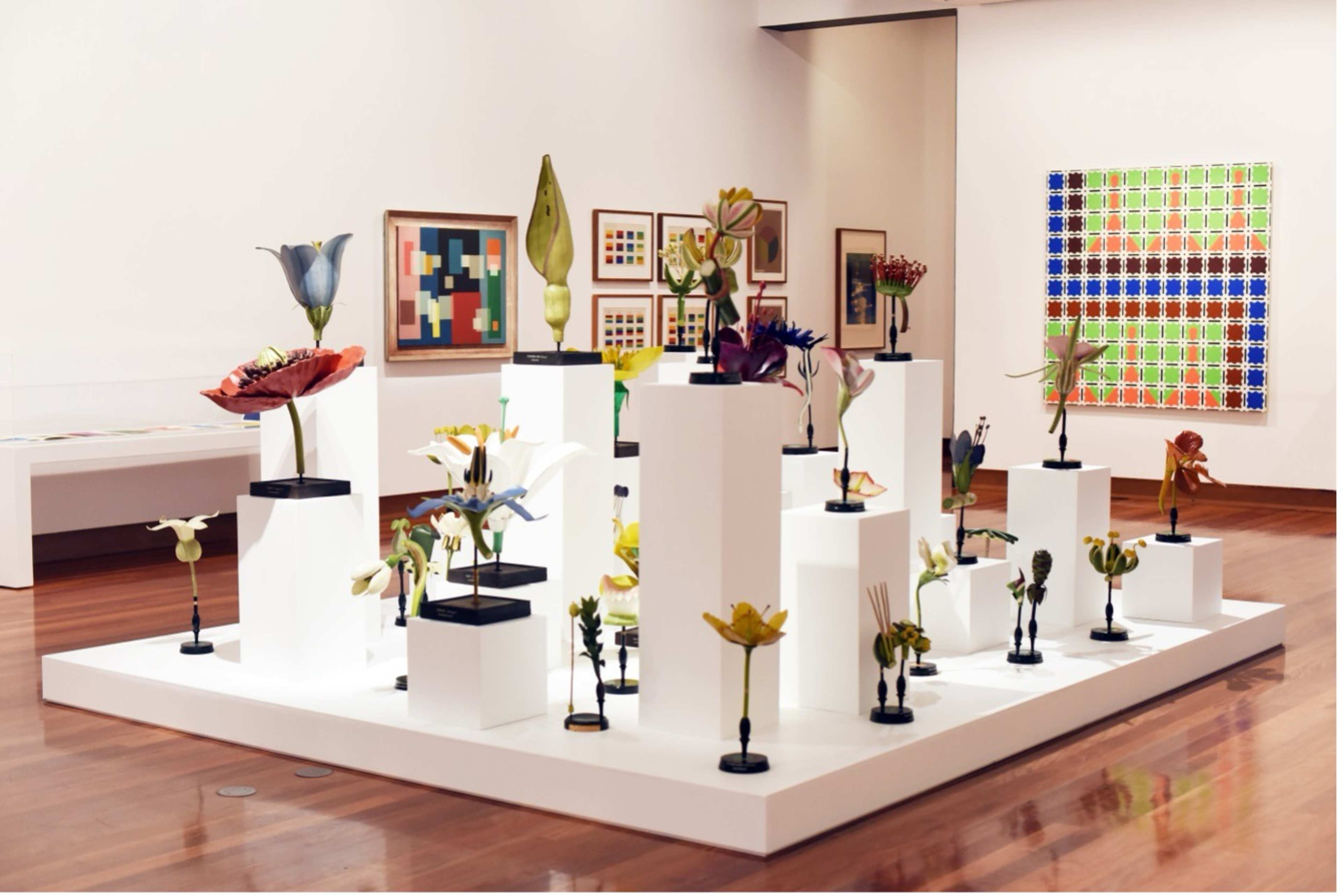 A grouping of historic botanical models on white plinths in a middle of the gallery surrounded by contemporary abstract paintings in the background