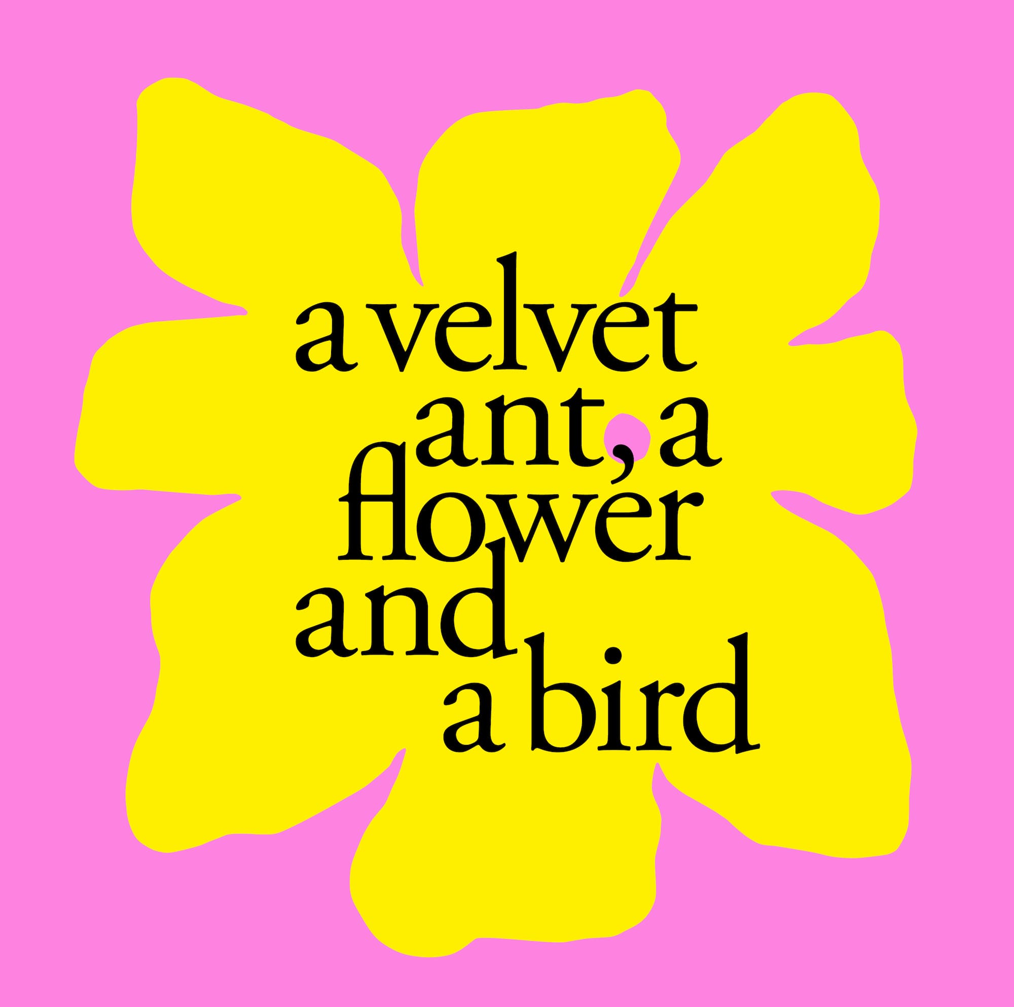 A yellow graphic flower on a pink background with words a velvet ant, a flower and a bird
