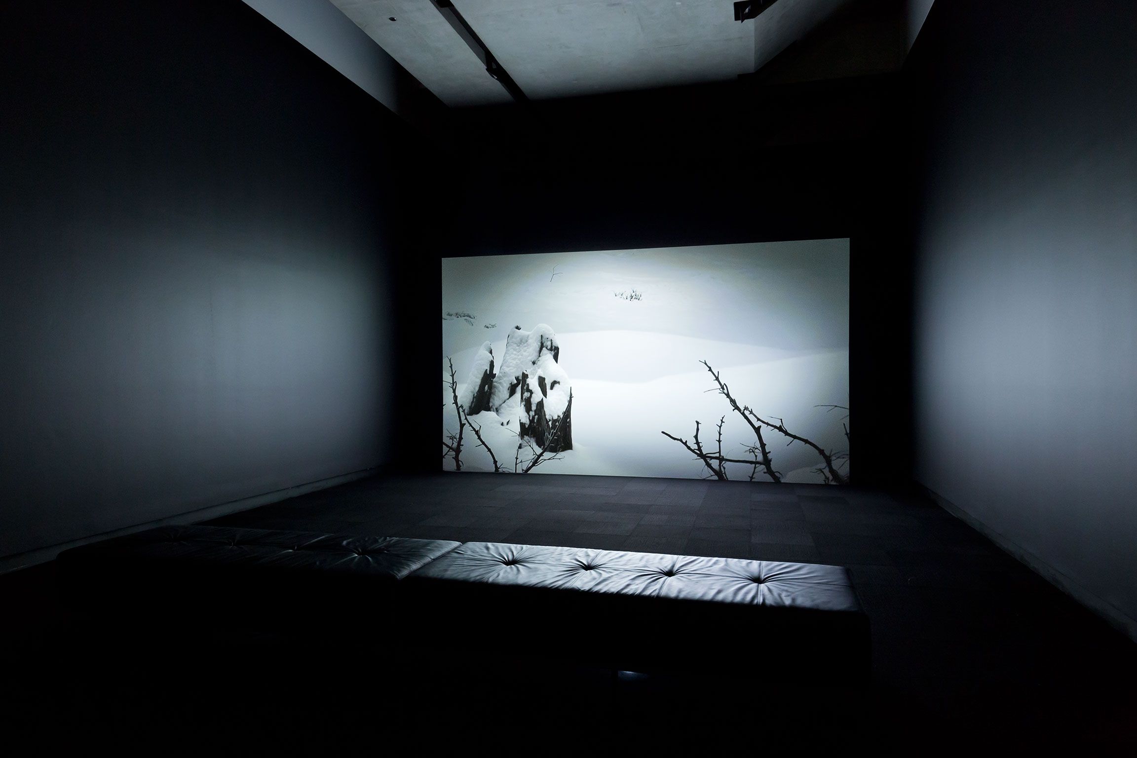 A photograph of a gallery with a projection of an animation featuring black and white winter landscape 