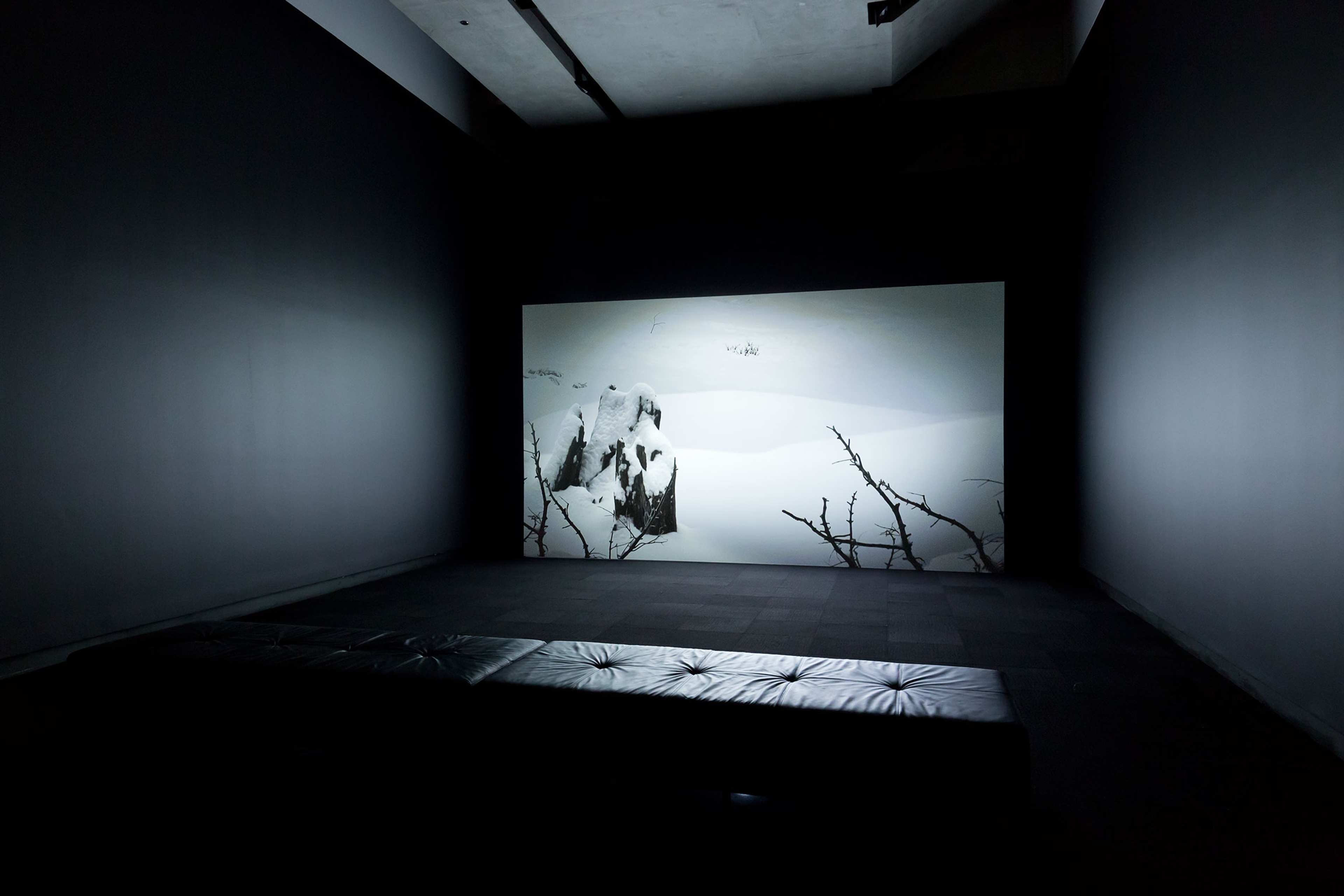 A photograph of a gallery with a projection of an animation featuring black and white winter landscape