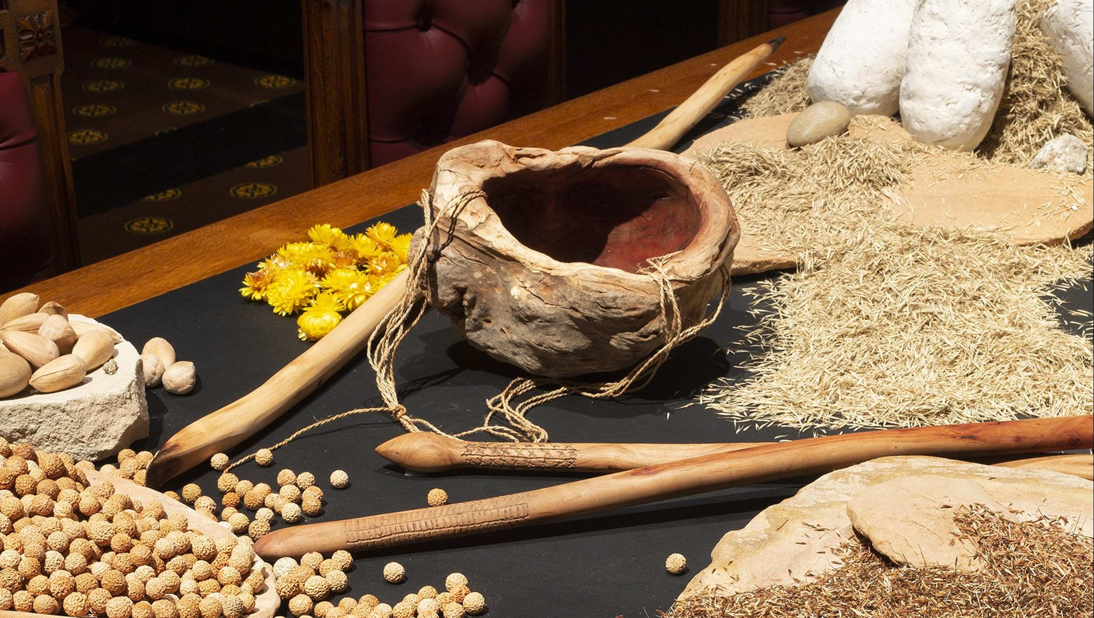 A display of traditional Indigenous Australian tools and foods, including a wooden bowl, seeds, nuts, grinding stones, and carved wooden implements arranged on a dark tabletop.