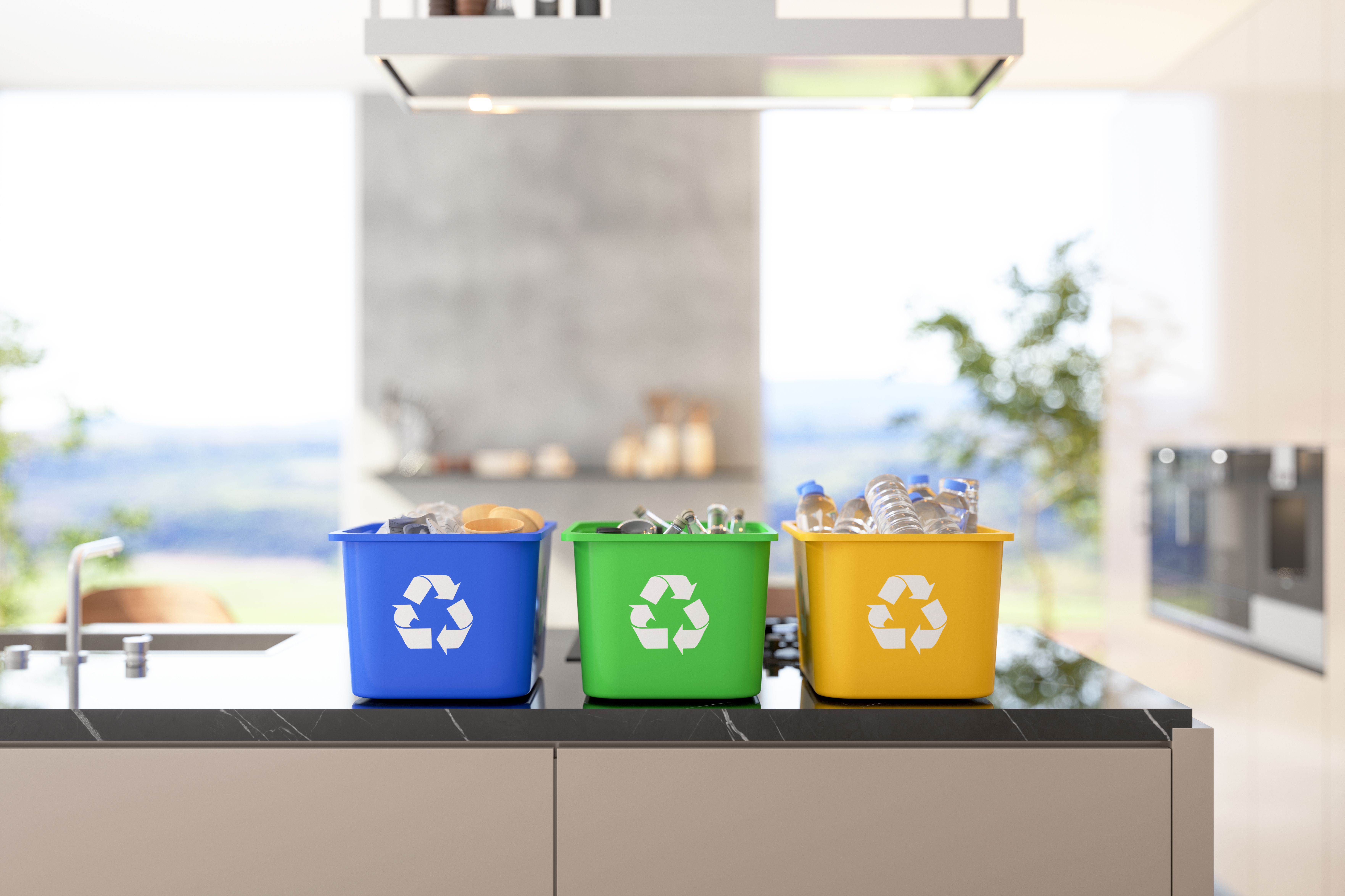 Recycling%20Bins.jpg
