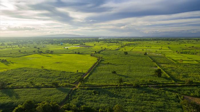 125 Heath Road land thumbnail