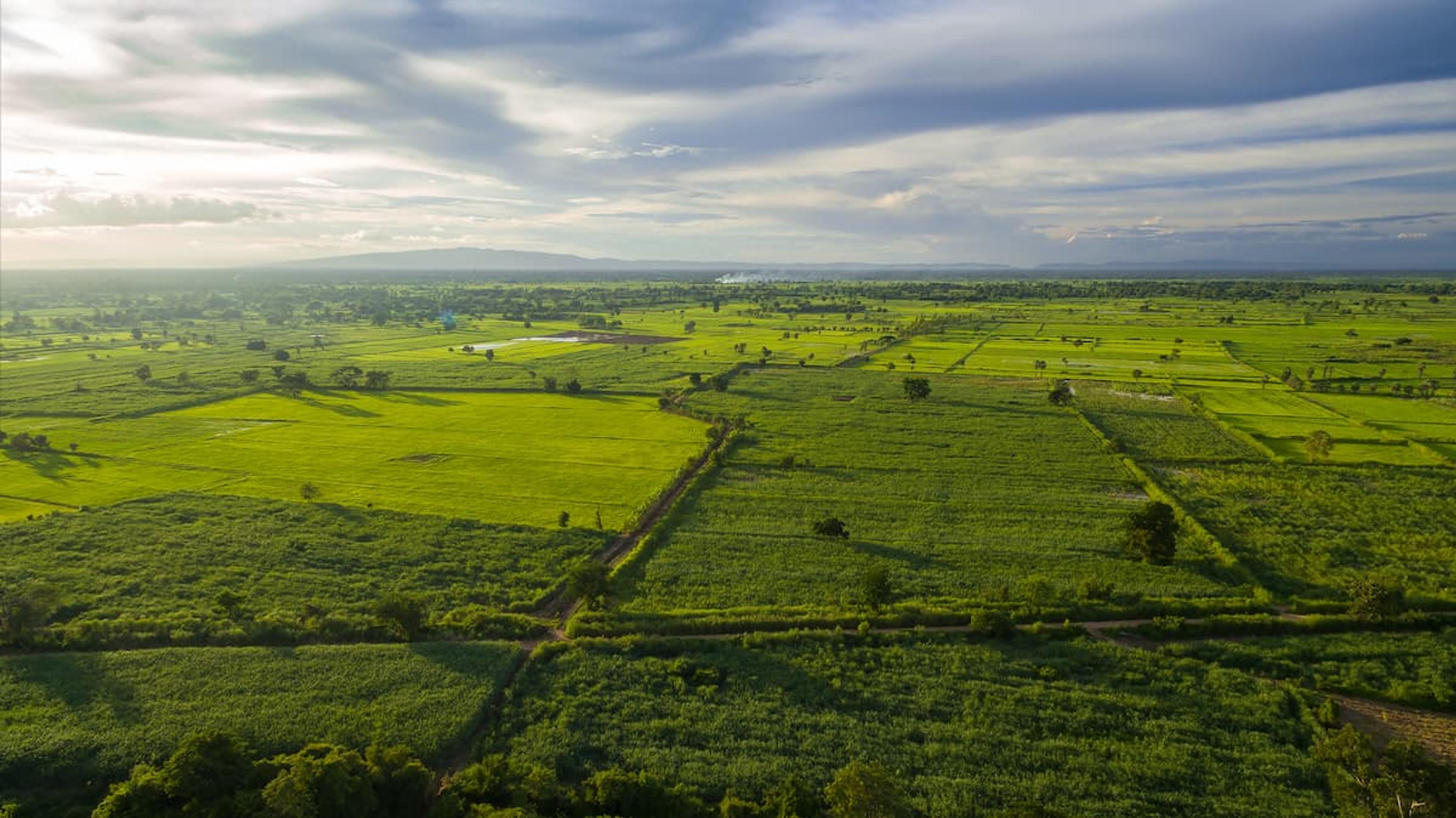 land
