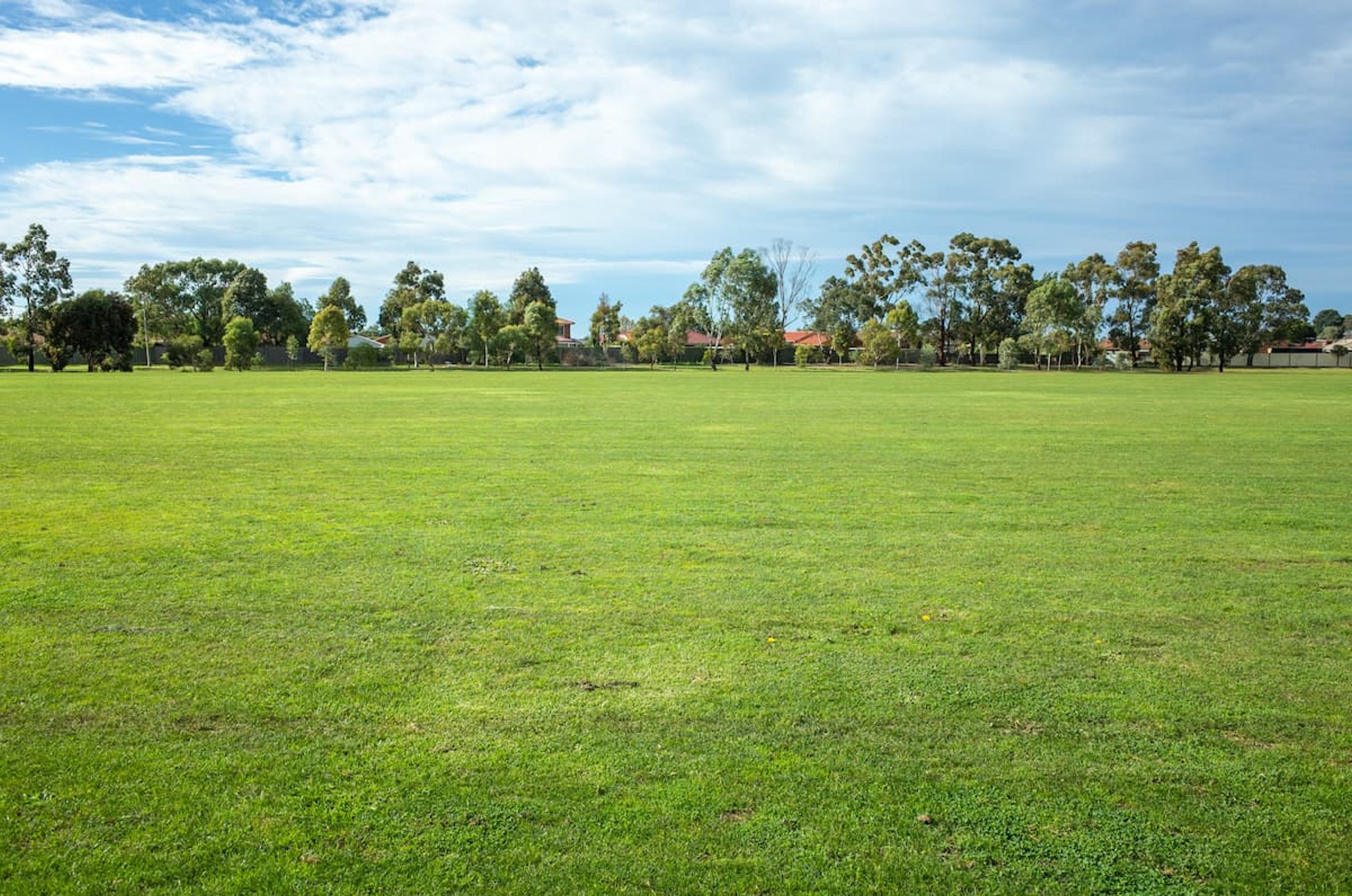 Grange Avenue Schofields project image supplied by Dezire Homes
