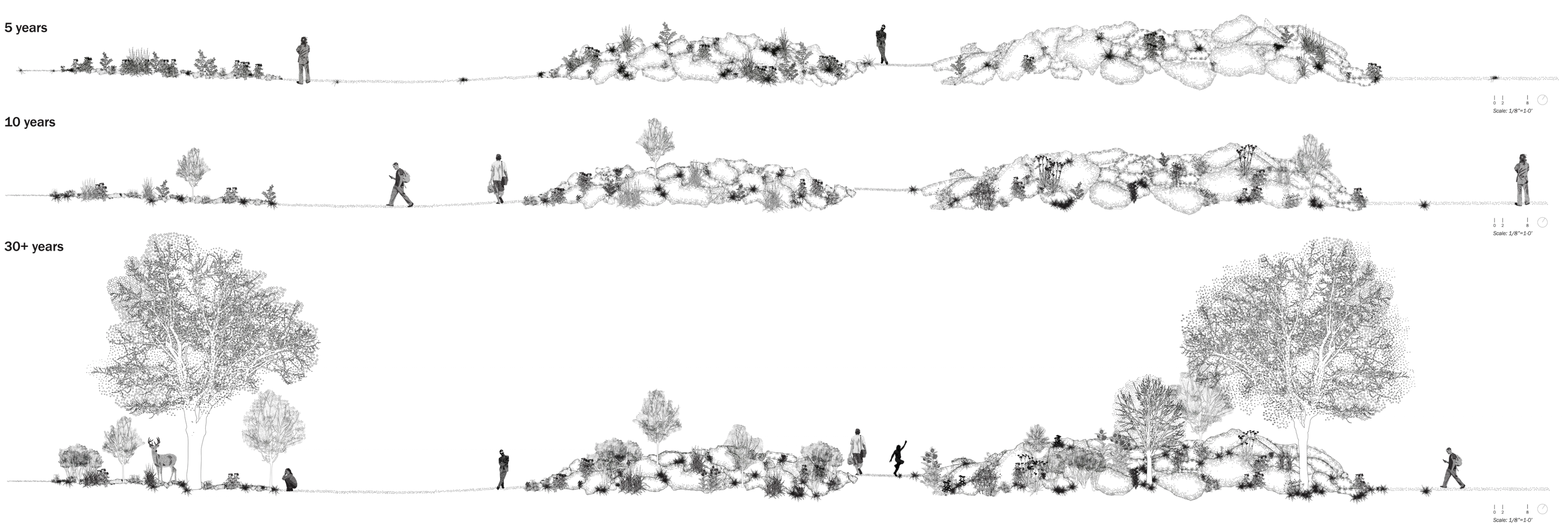 carved. mounded. hollowed. project image 4