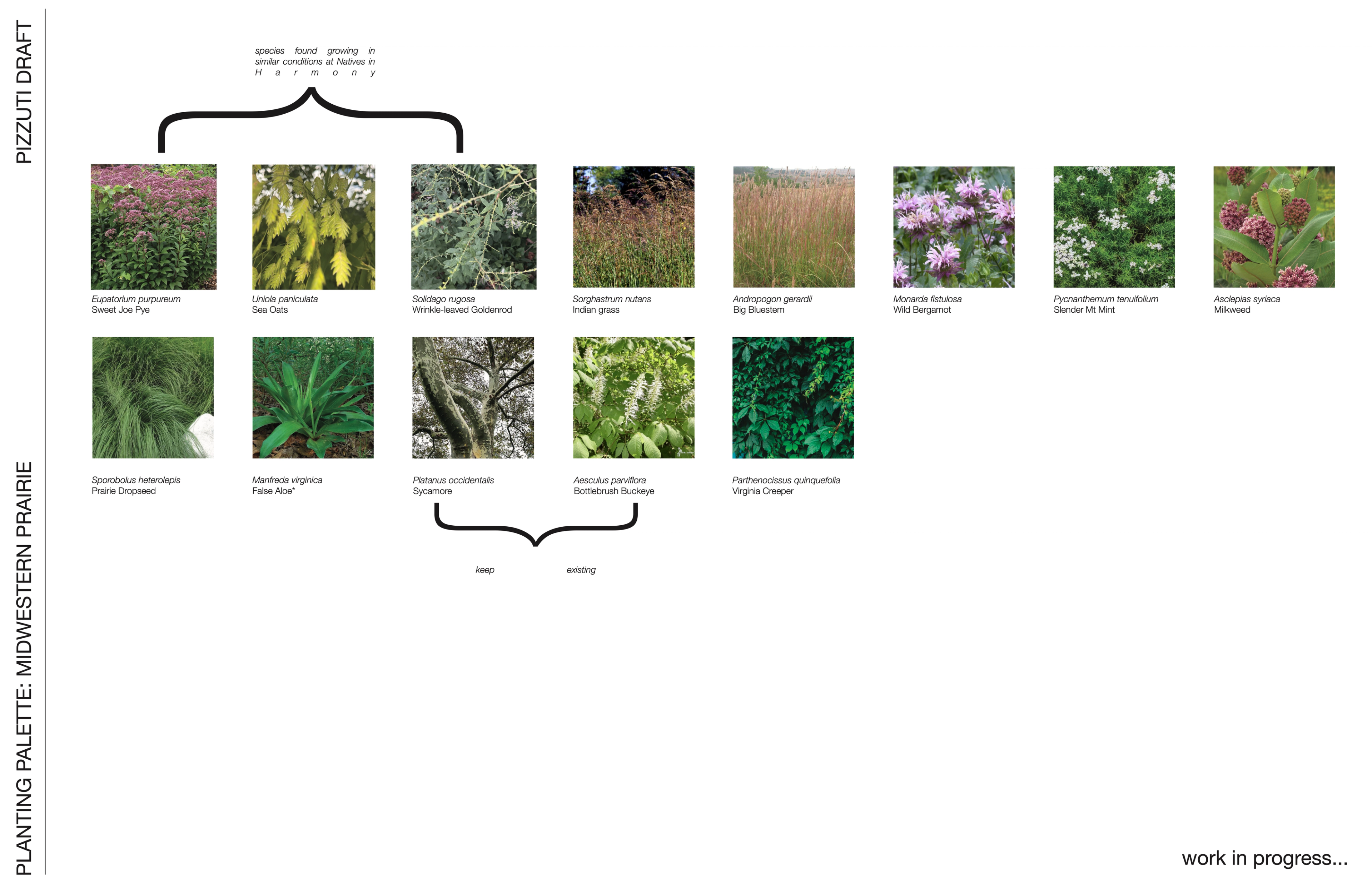 to be in conversation with prairie project image 1