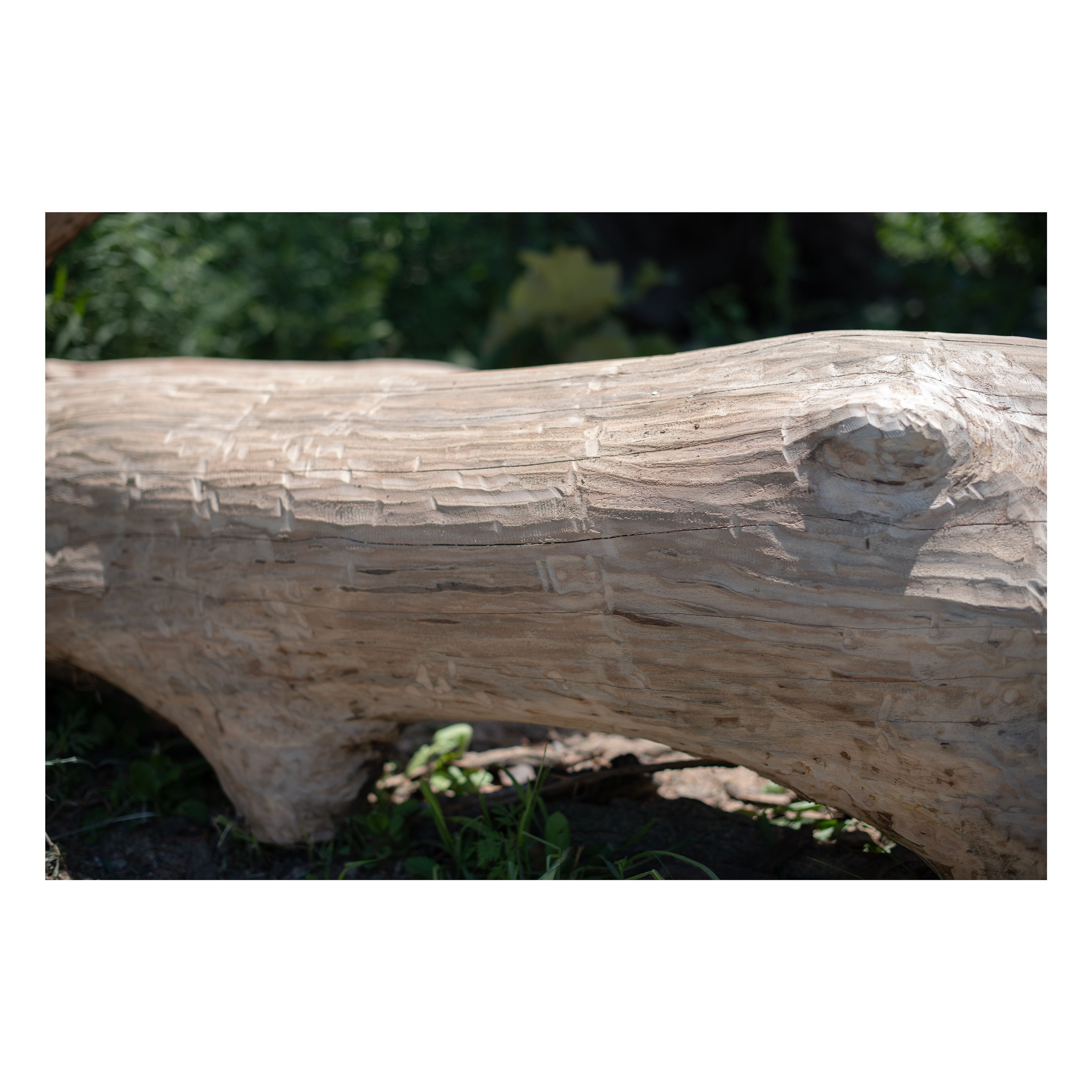 Charred Wood Objects project image 2
