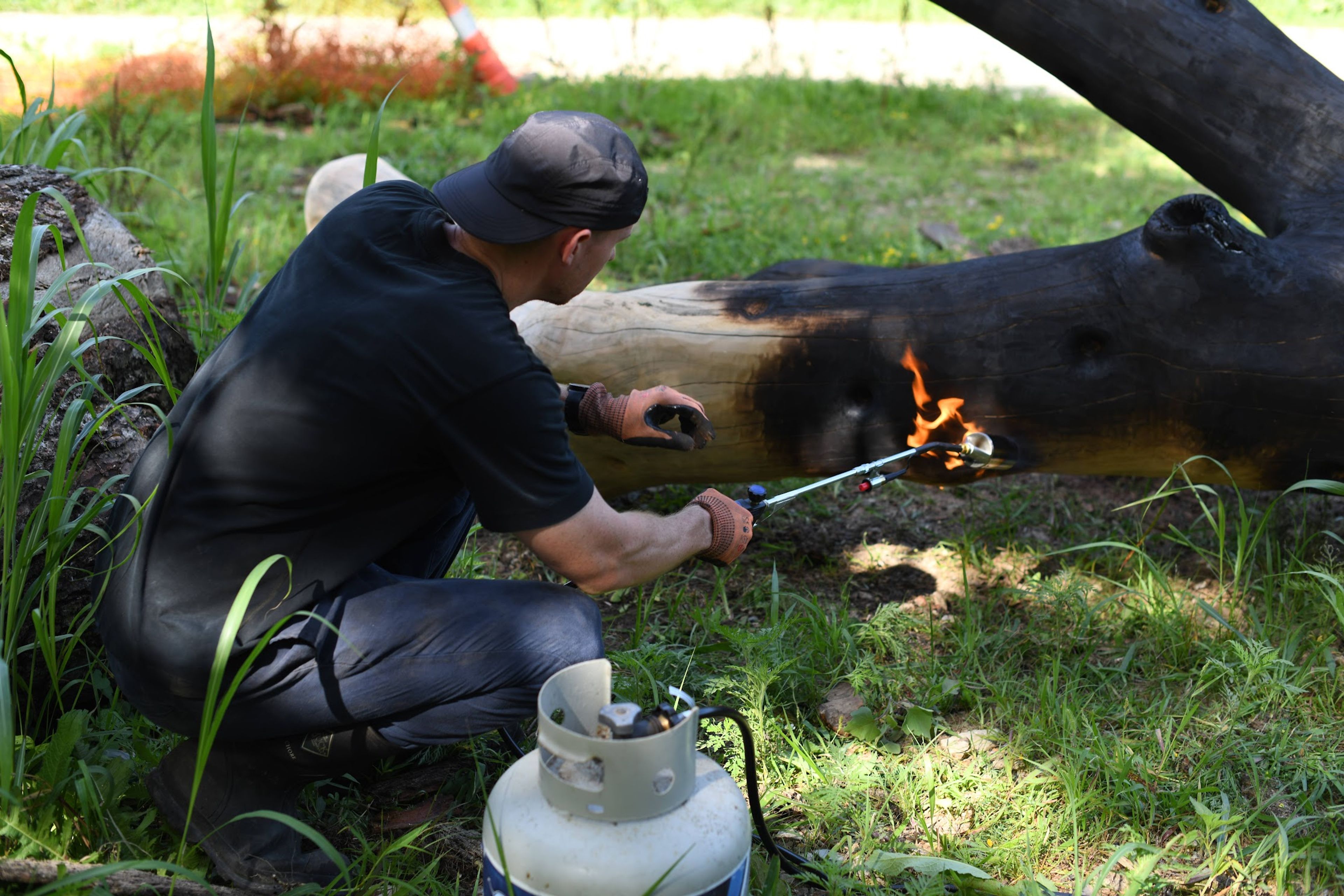 Charred Wood Objects project image 15