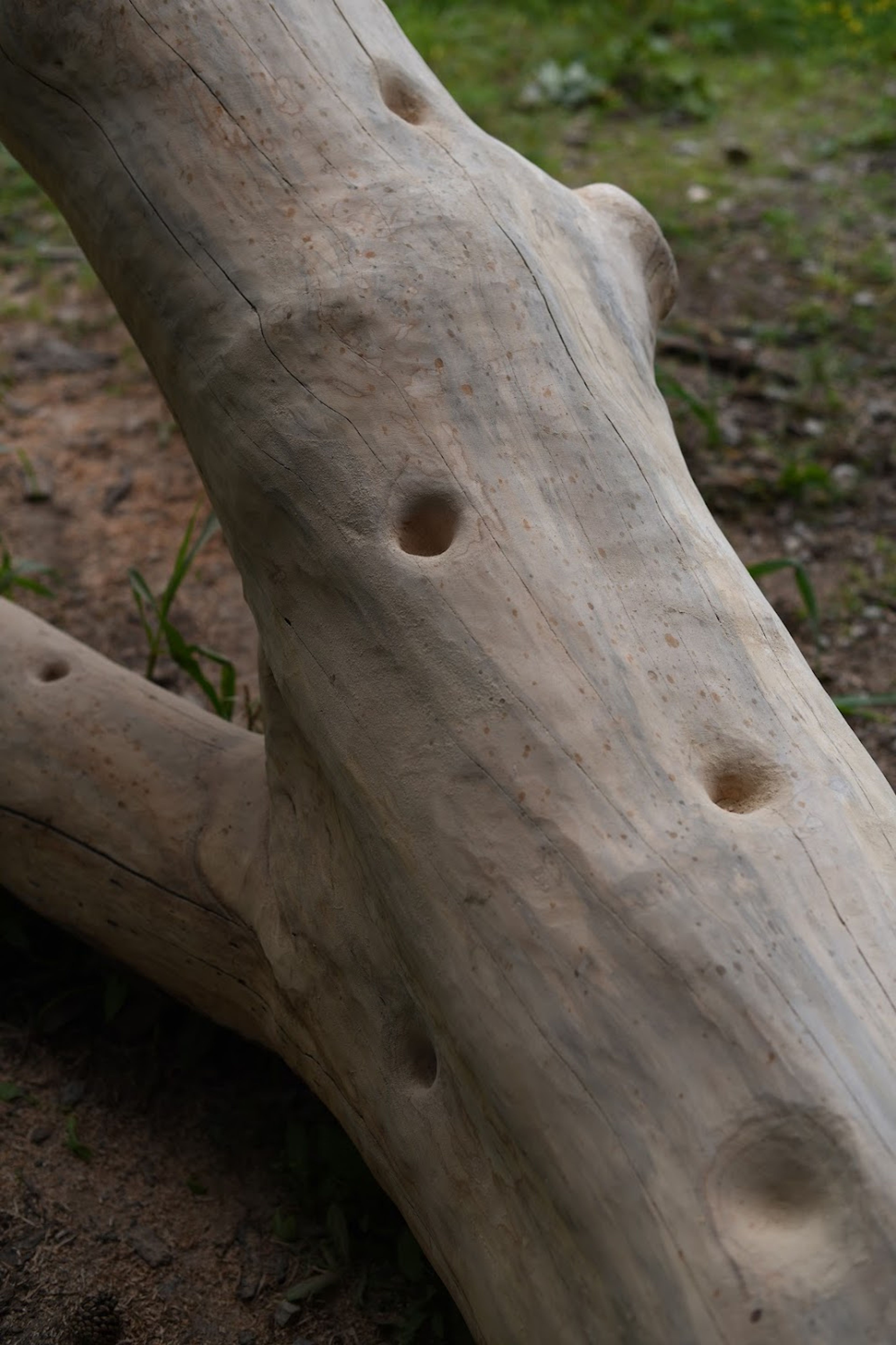 Charred Wood Objects project image 8