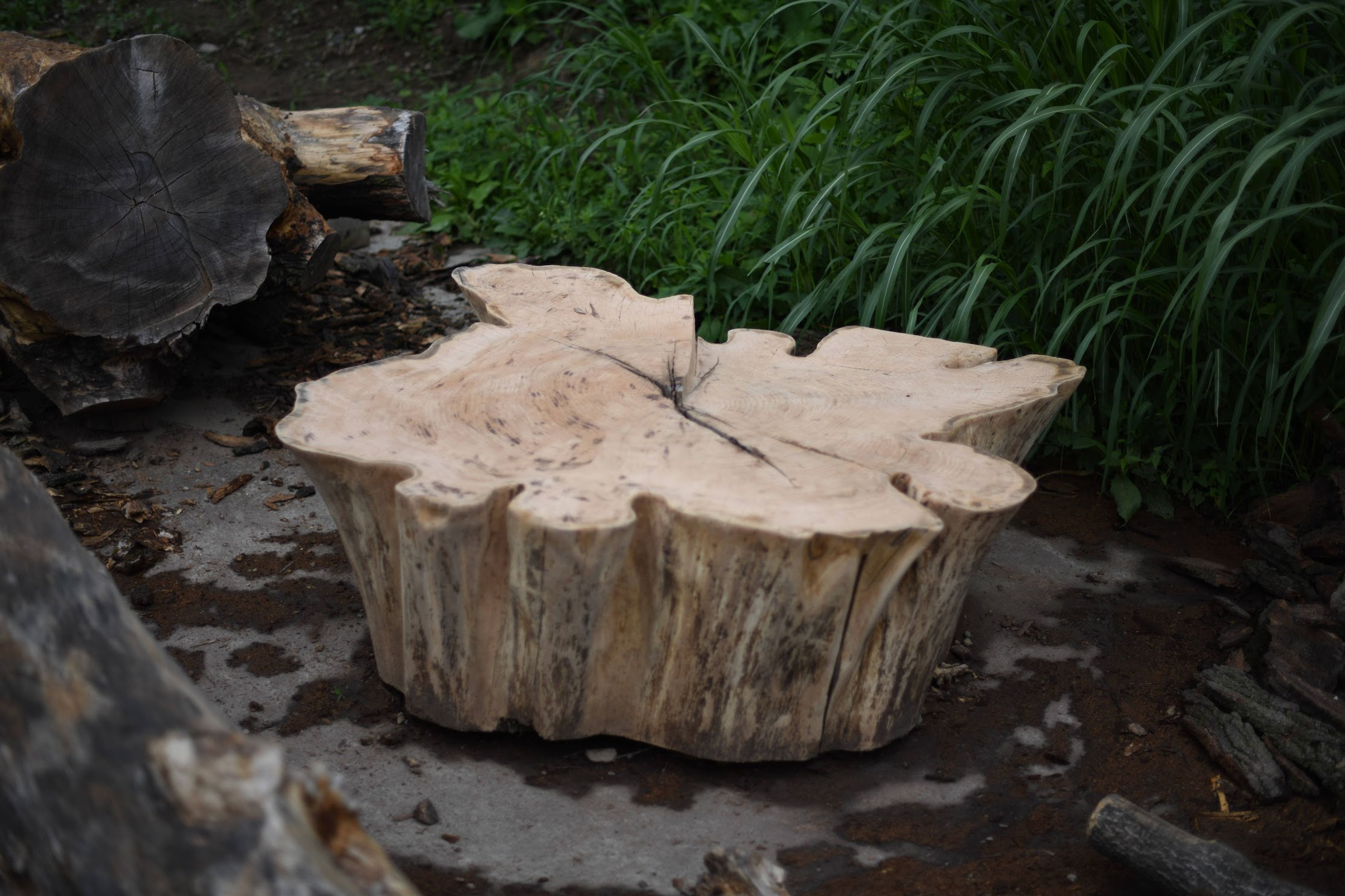 Charred Wood Objects project image 11