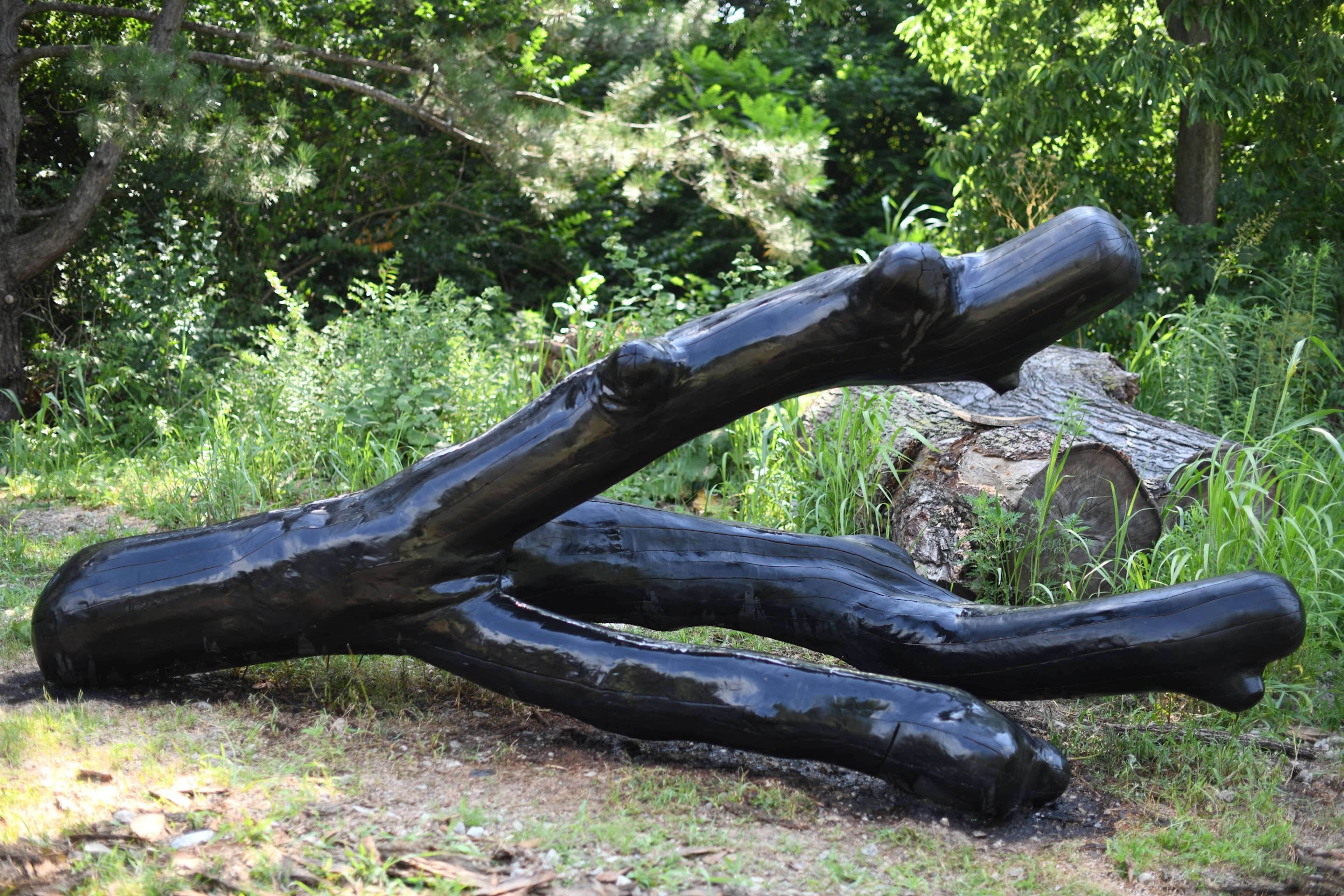 Charred Wood Objects project image 20