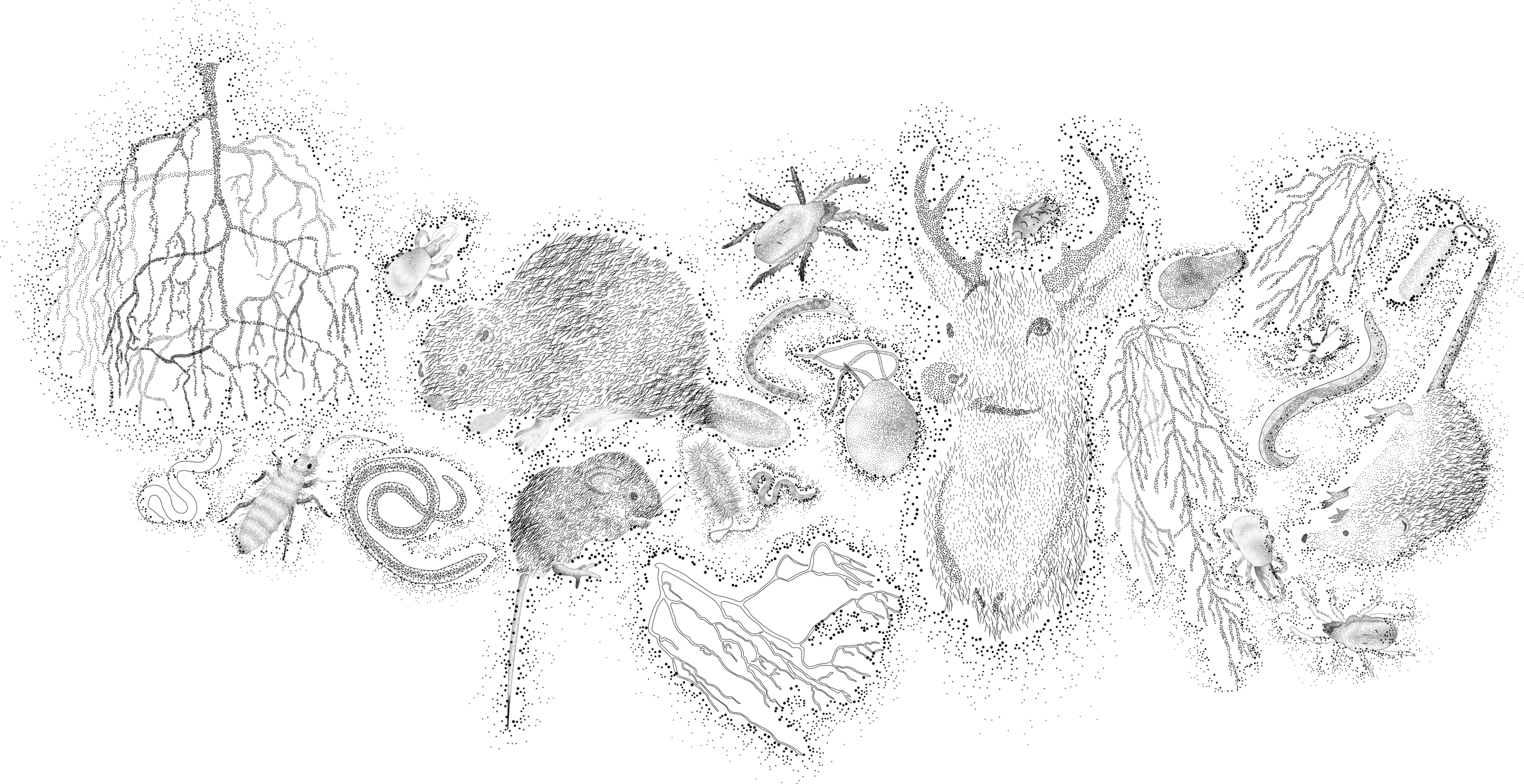 conceptualizing an anthrosol