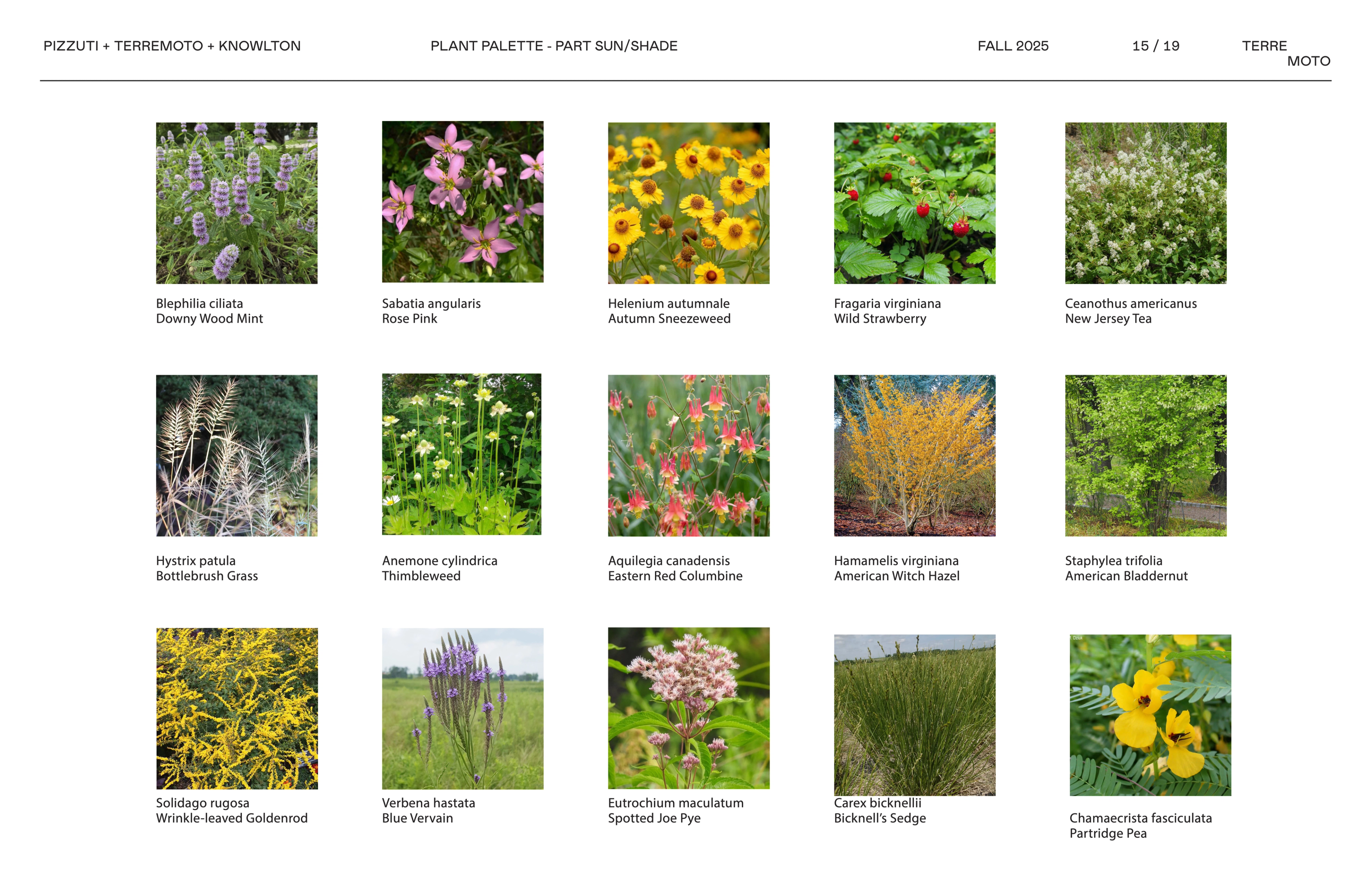 to be in conversation with prairie project image 15